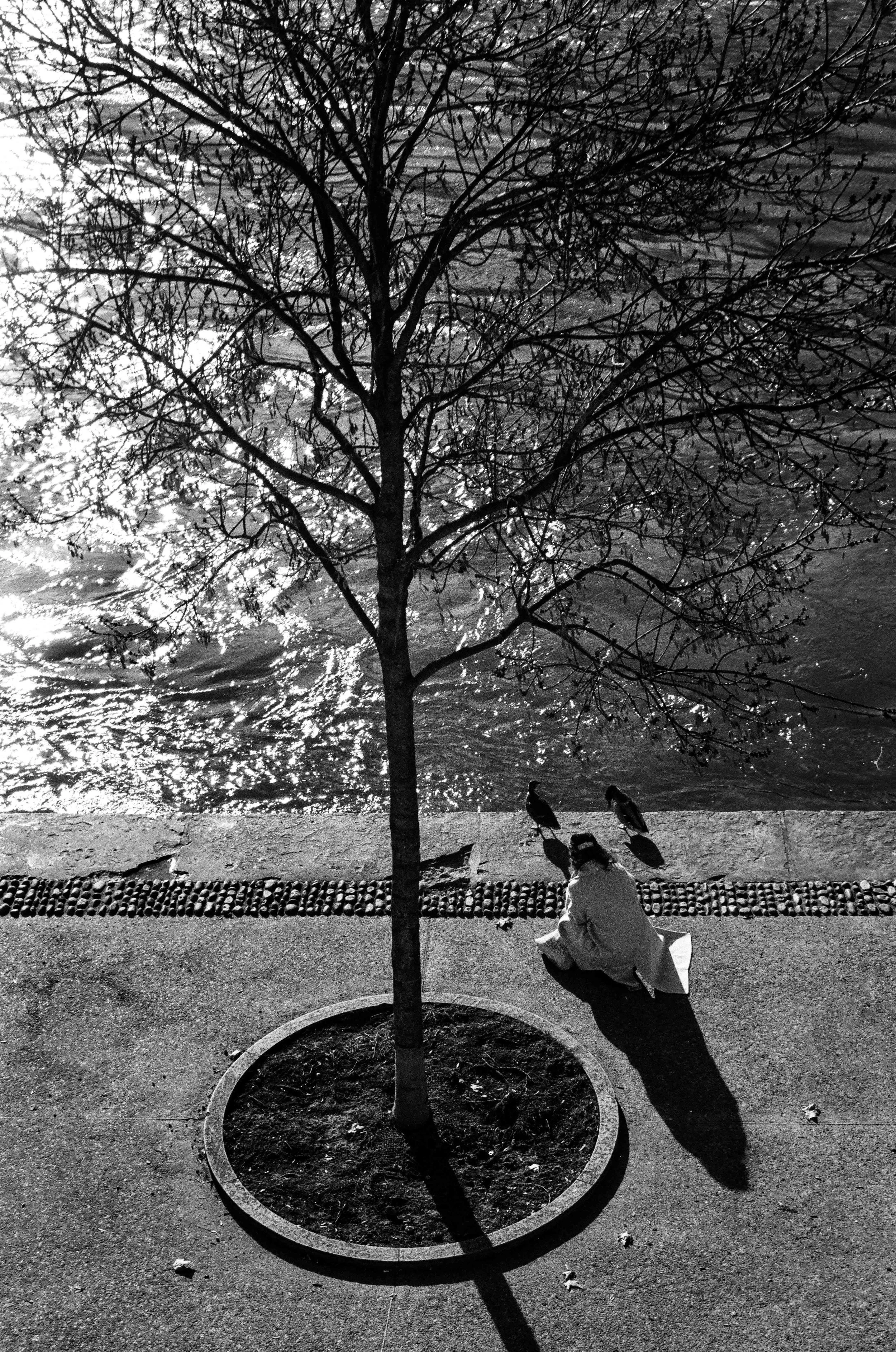 image de rue-44.jpg