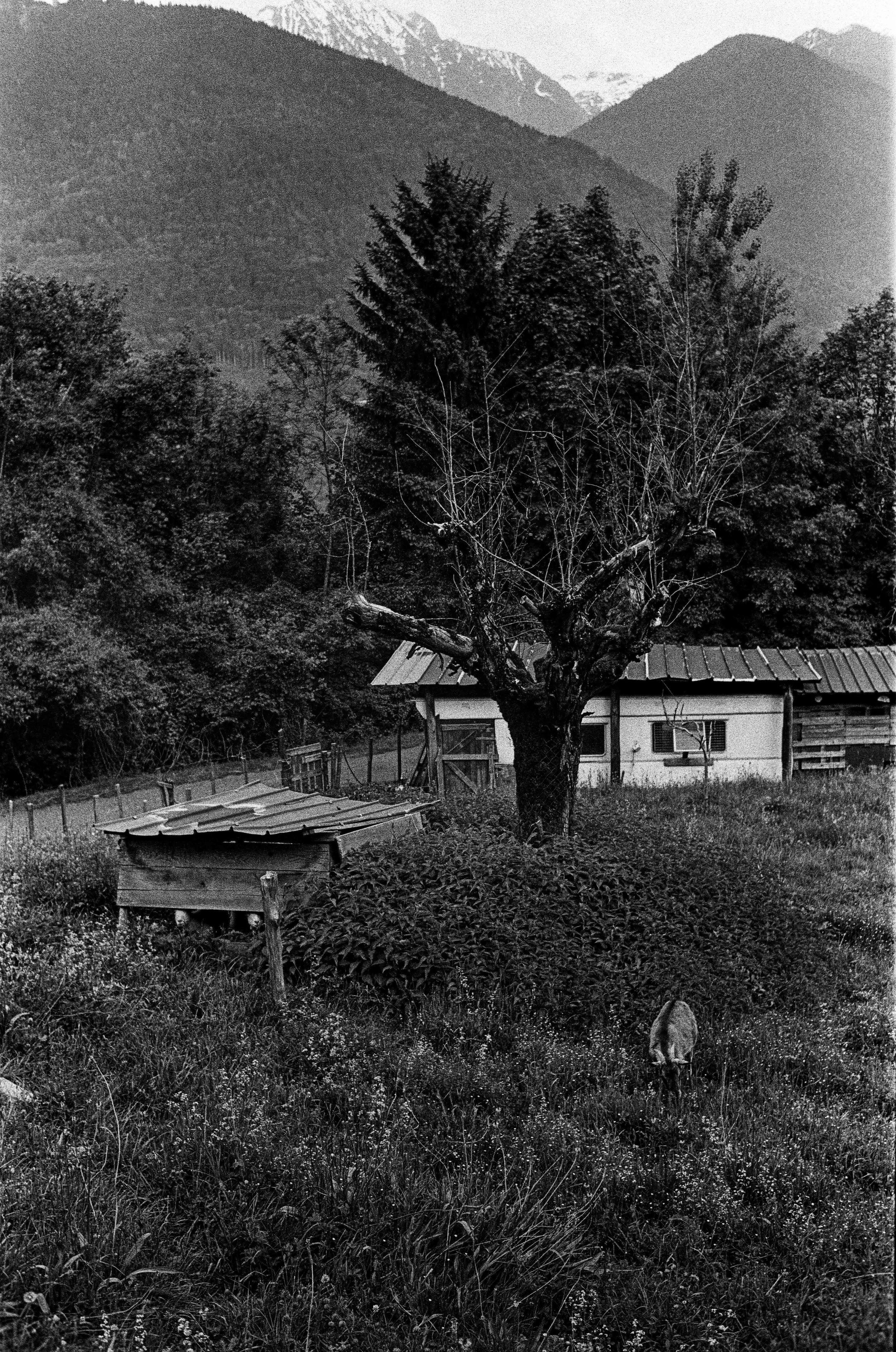 paysage urbain-7.jpg