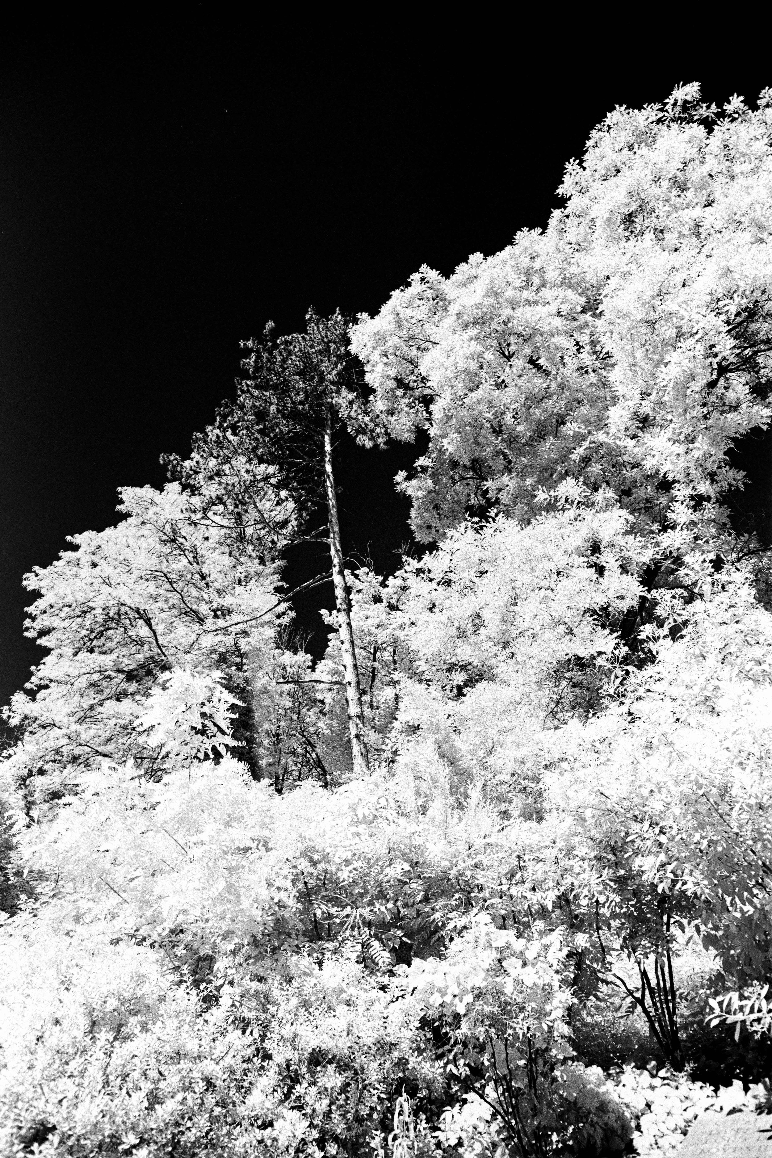 infra 16.jpg