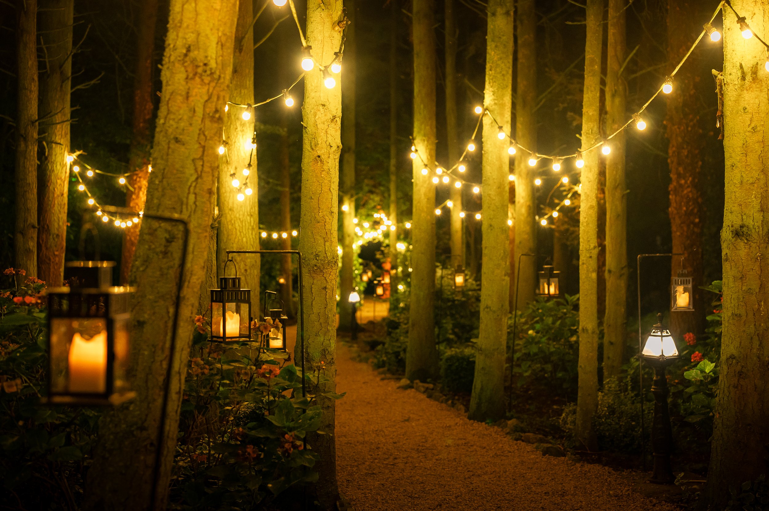 A nighttime scene in a forest with a pathway illuminated by string lights and lanterns hanging from trees and along the path.