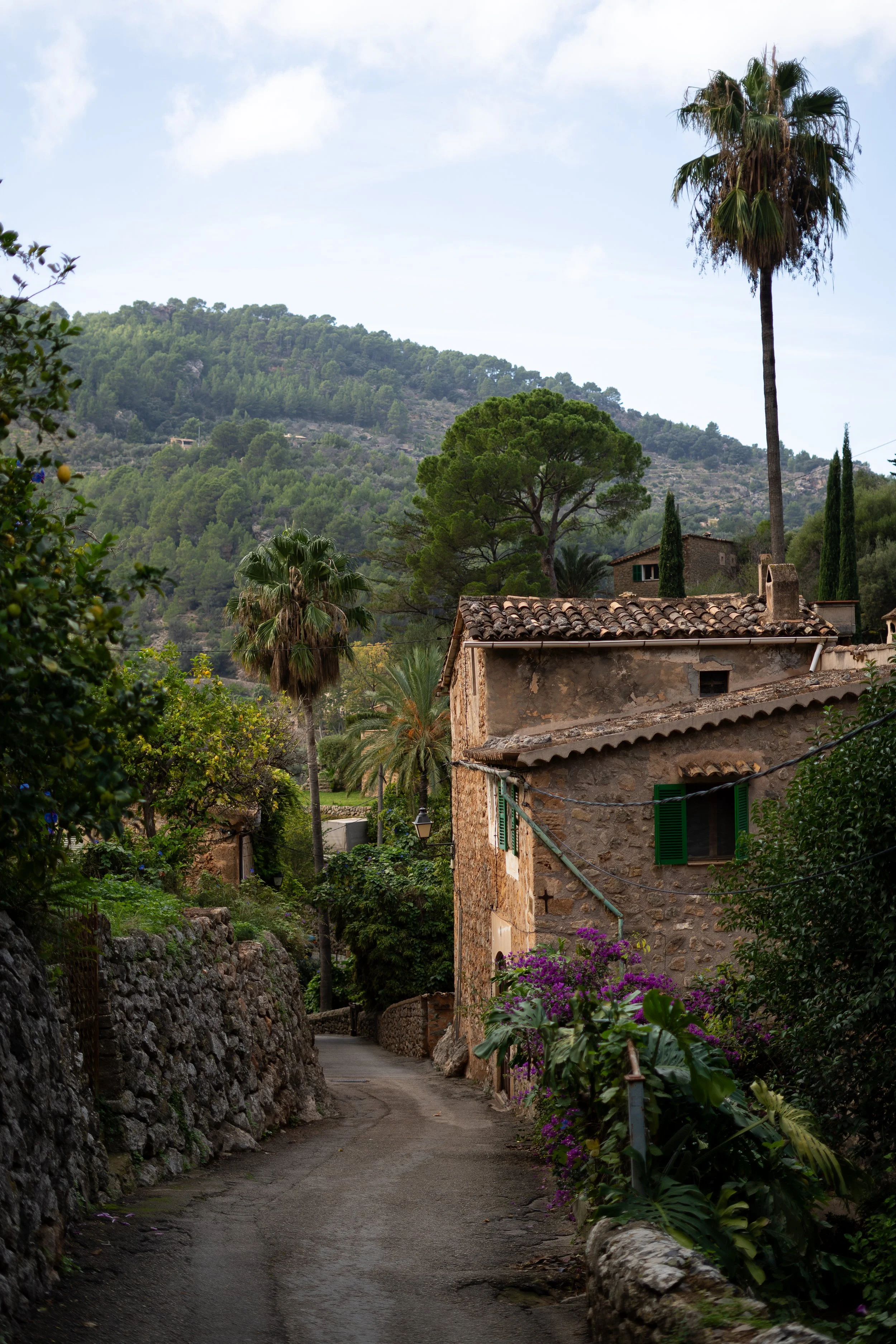 A narrow, winding village street bordered by stone walls and lush greenery, with a rustic stone house featuring green shutters and blooming purple flowers, surrounded by tall palm trees and forested hills in the background.
