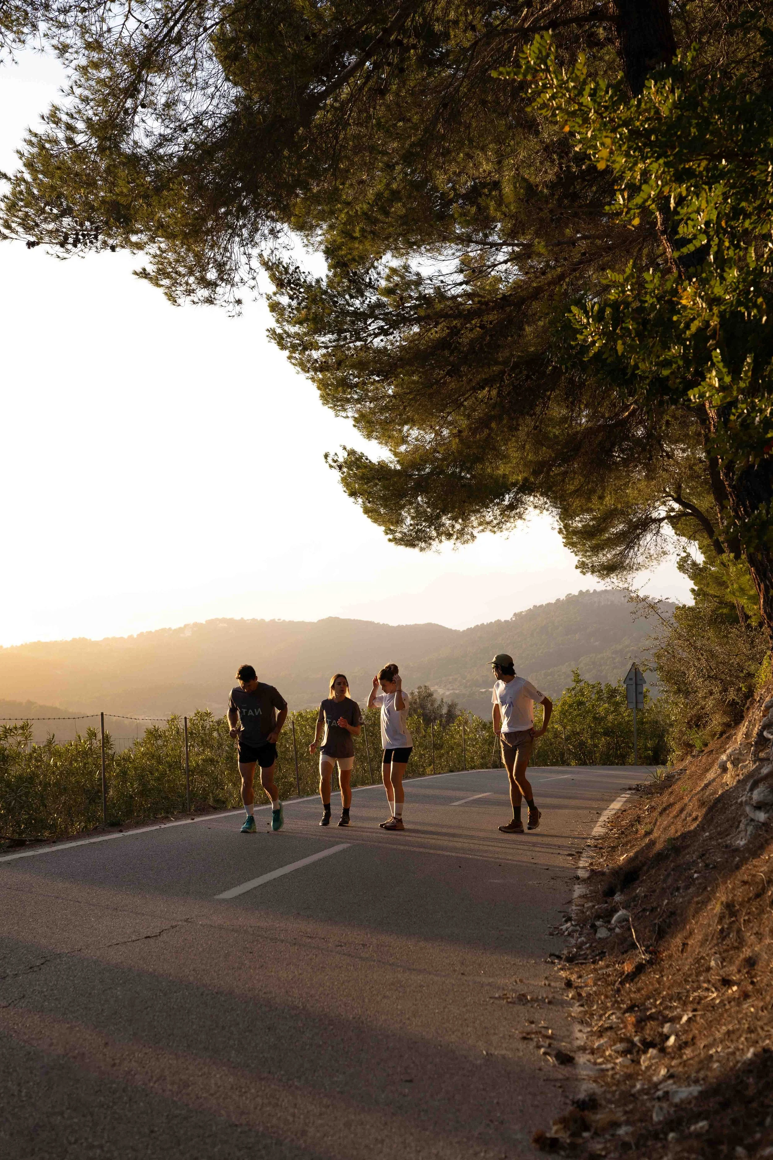 Four people walking together on a winding mountain road at sunset, surrounded by trees and hills in the background.
