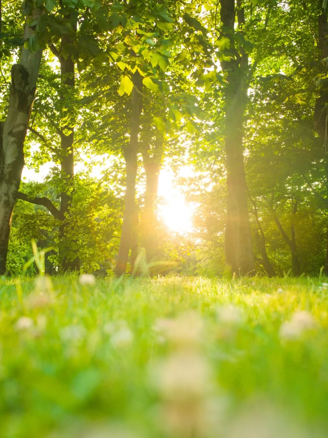 Why That February Sunshine Is Exactly What Your Mental Health Needs