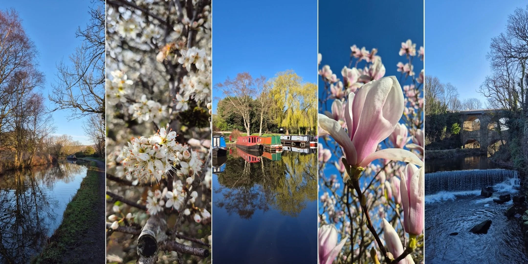 Photography Walk: with your smart phone