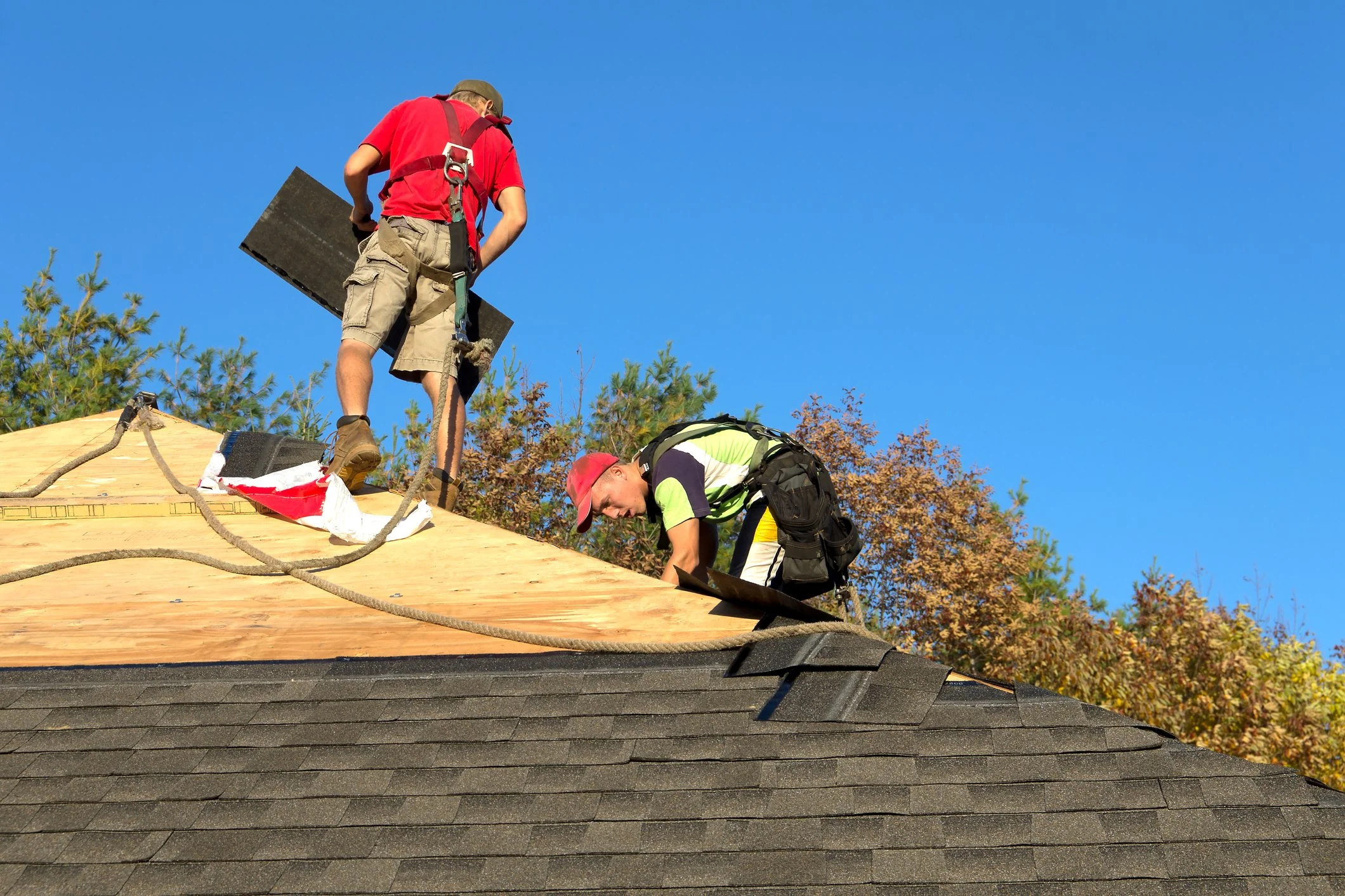 Two workers on a roof installing or repairing shingles with trees and a clear blue sky in the background.
