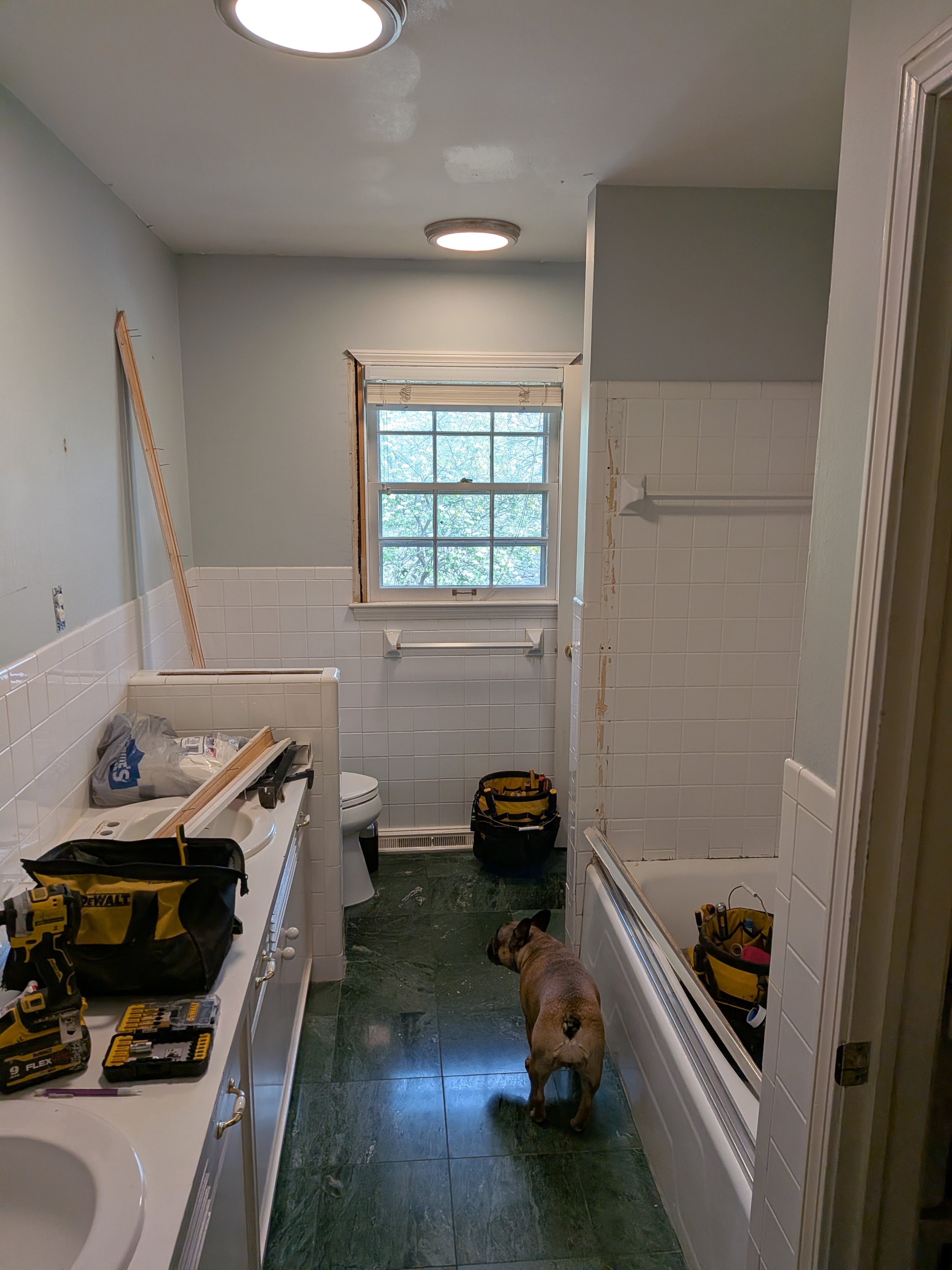 Bath remodel