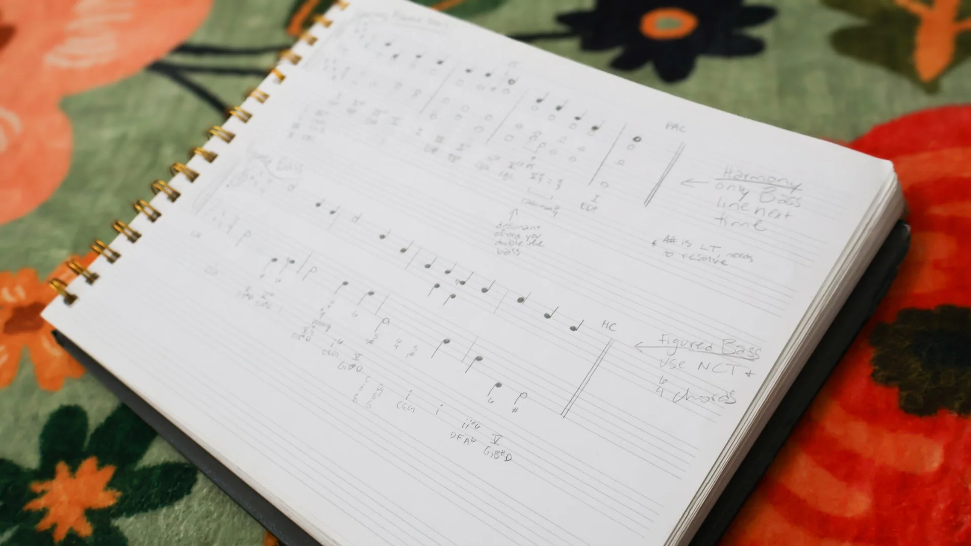 Music Theory & Audition Prep