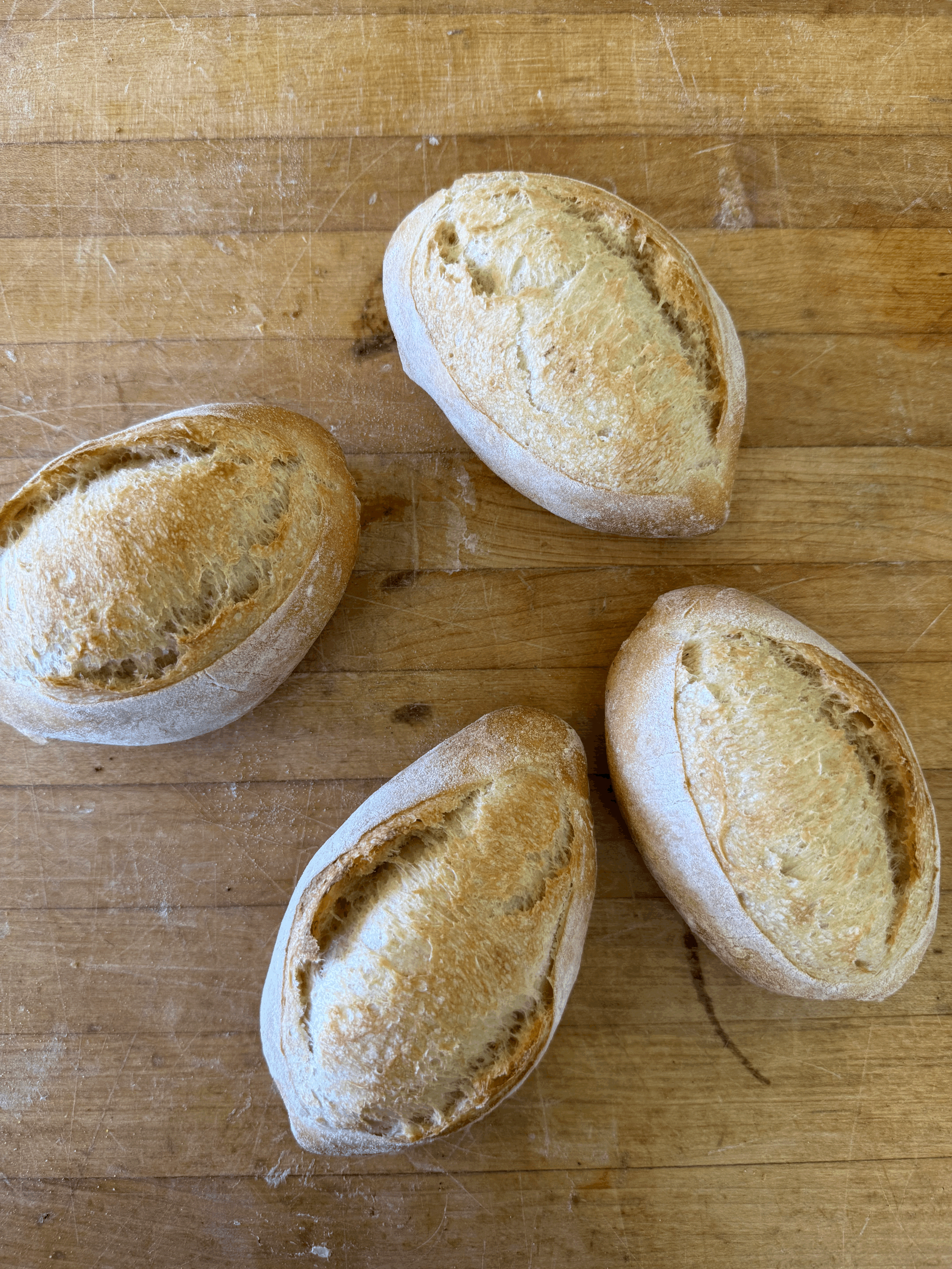 Cassie Sandwich Rolls