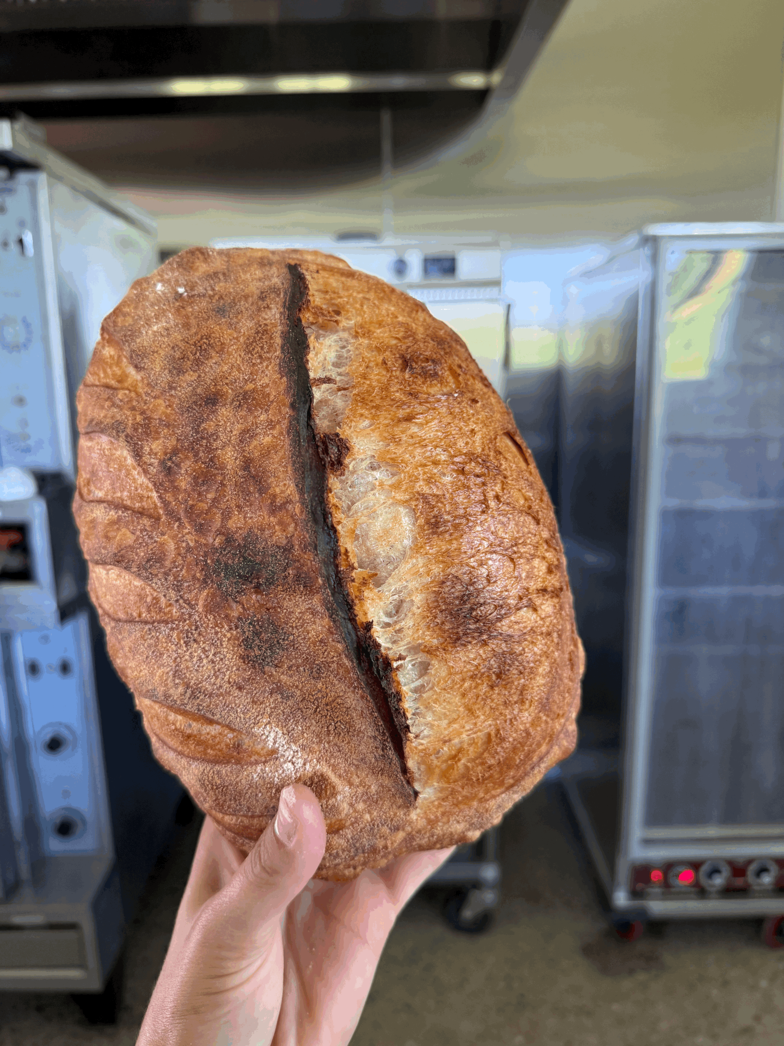 tempImageRB5prL.gif