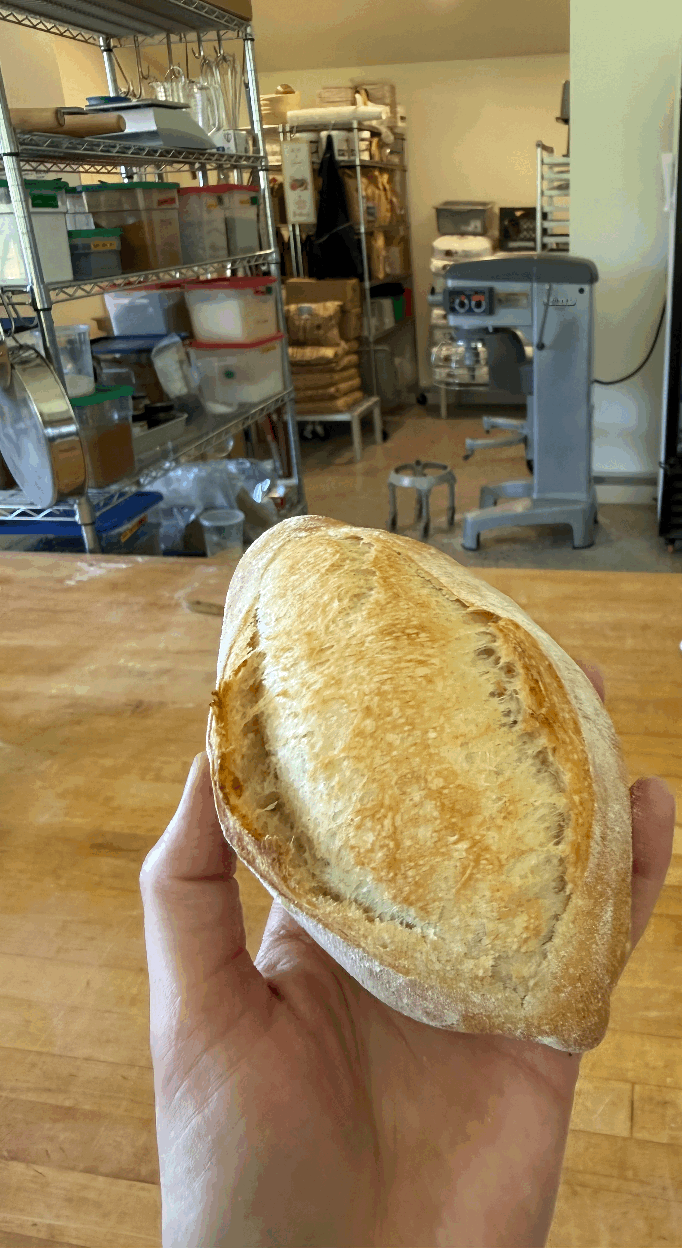 tempImageMvUot3.gif