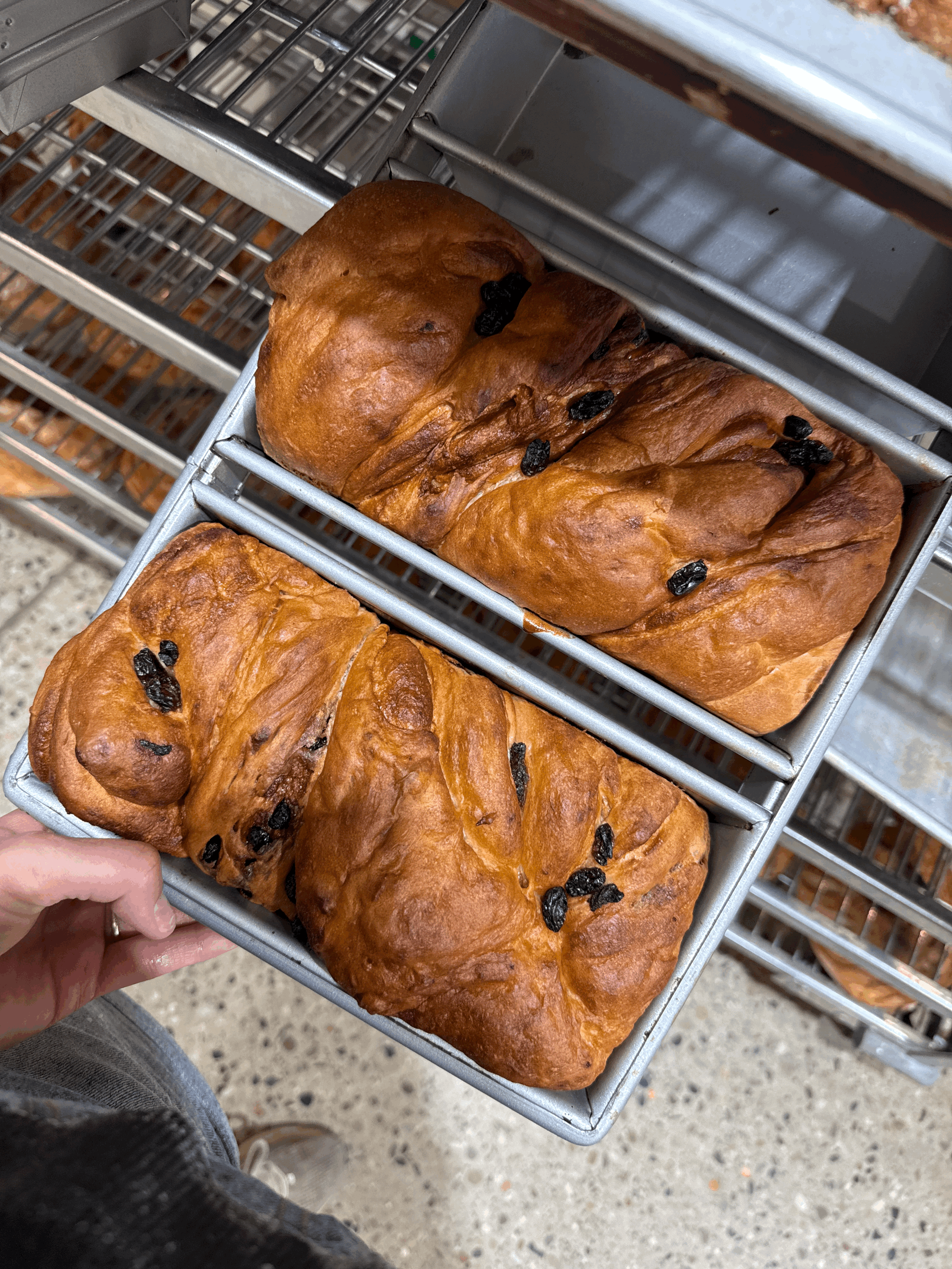 Cinnamon Raisin Bread