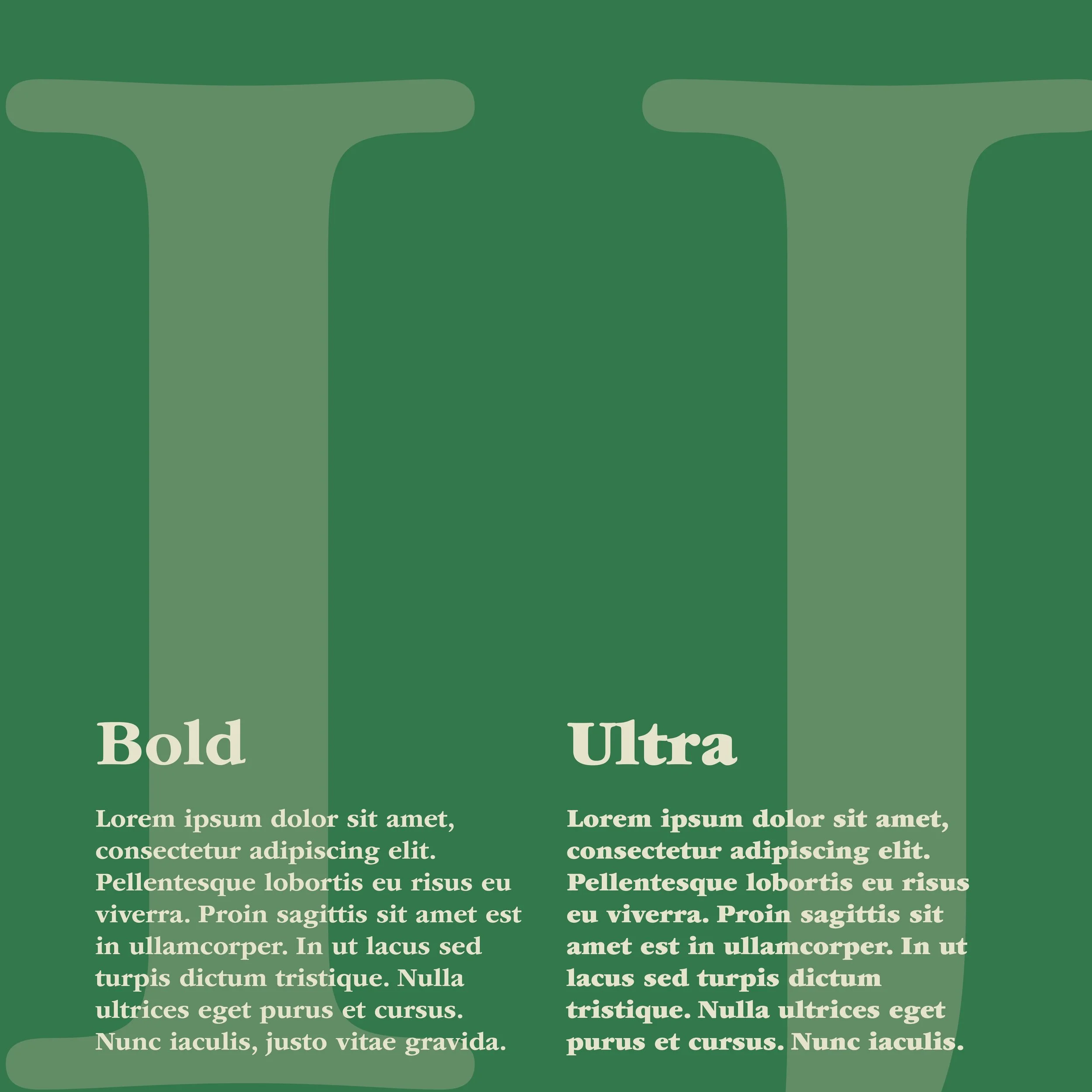 TypeSpecimenBooklet11.jpg