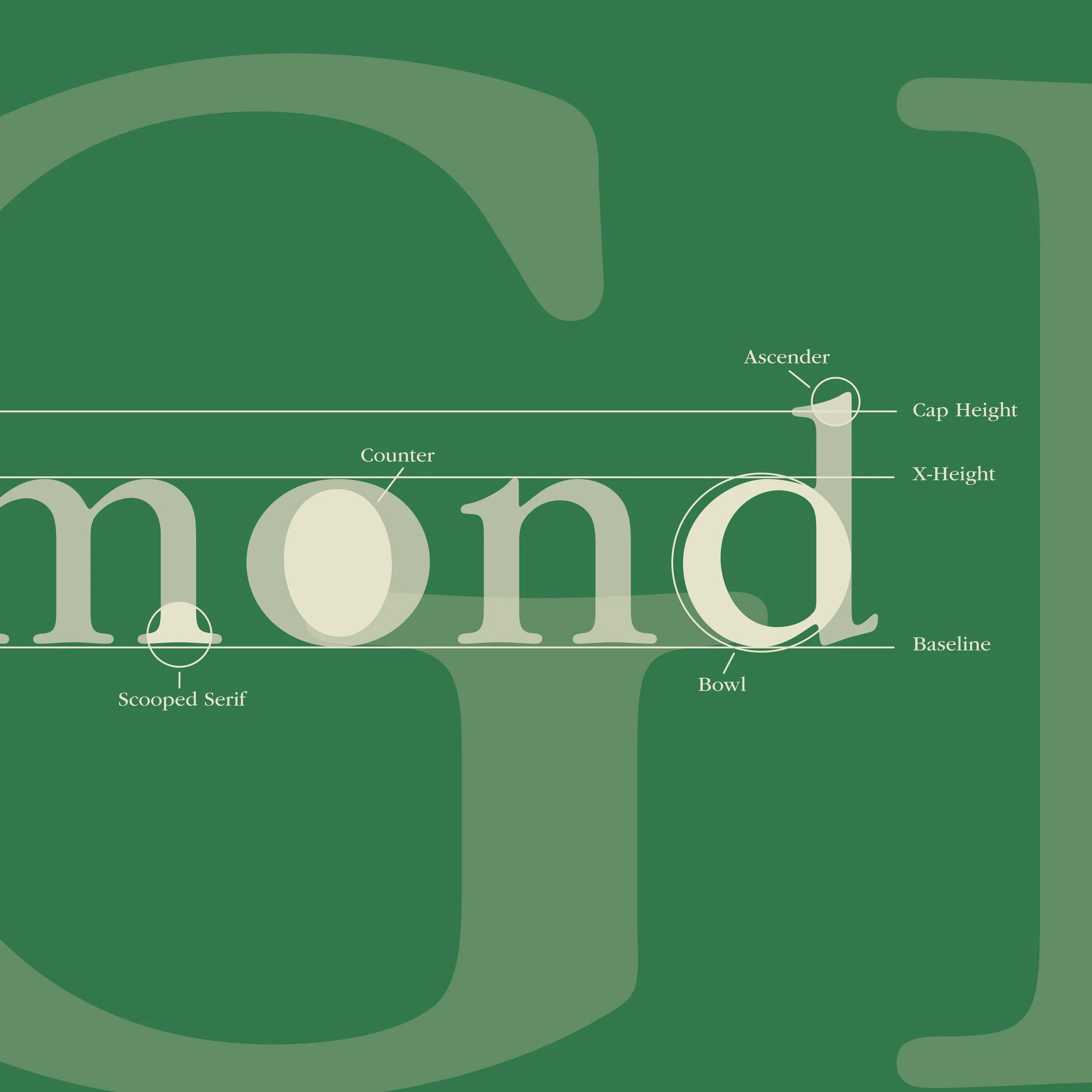 TypeSpecimenBooklet9.jpg