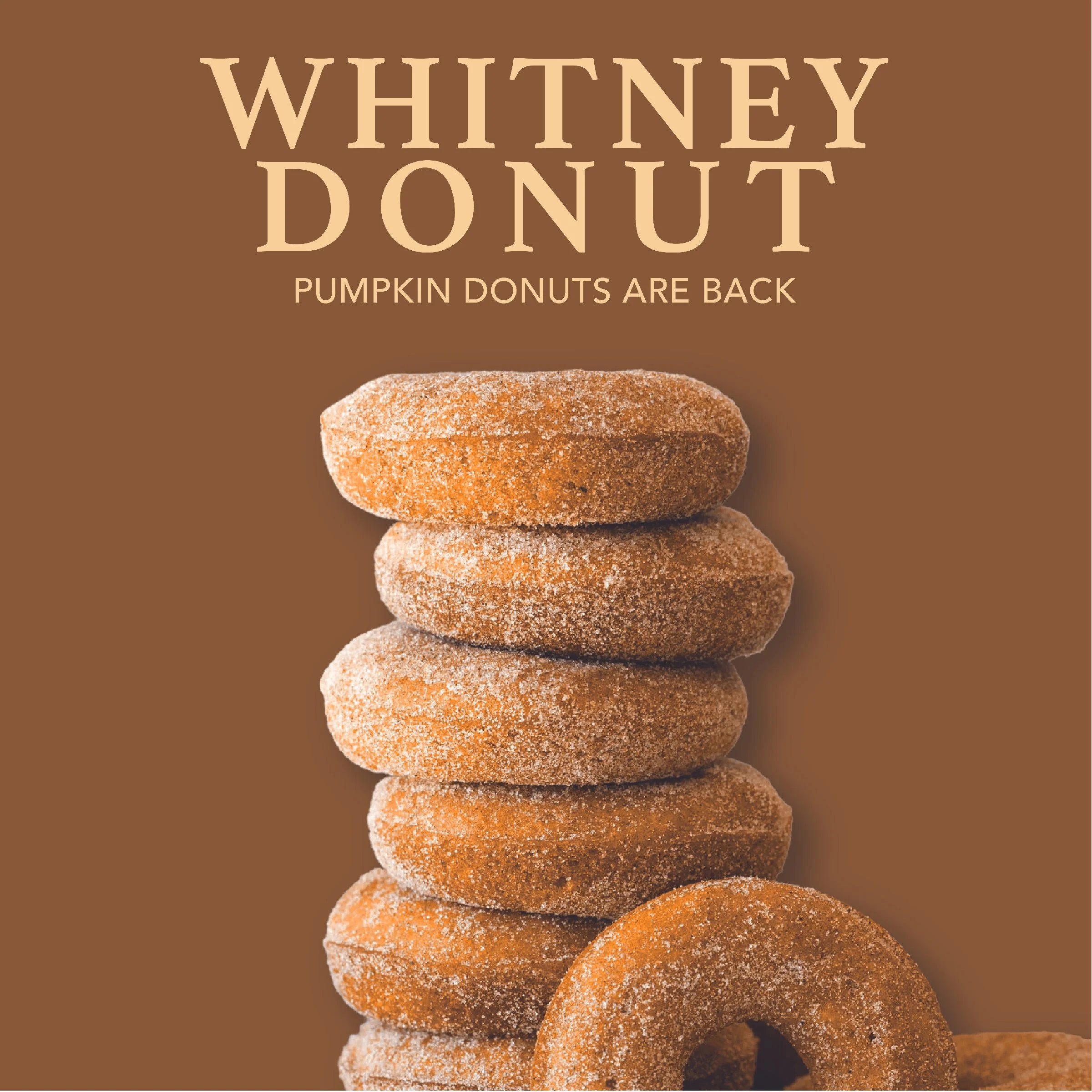whitneydonutposts-02.jpg