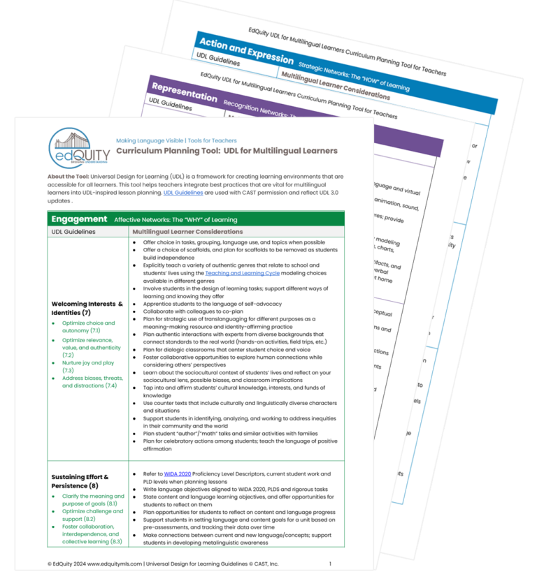 Sample pages from EdQuity's UDL for MLs tool