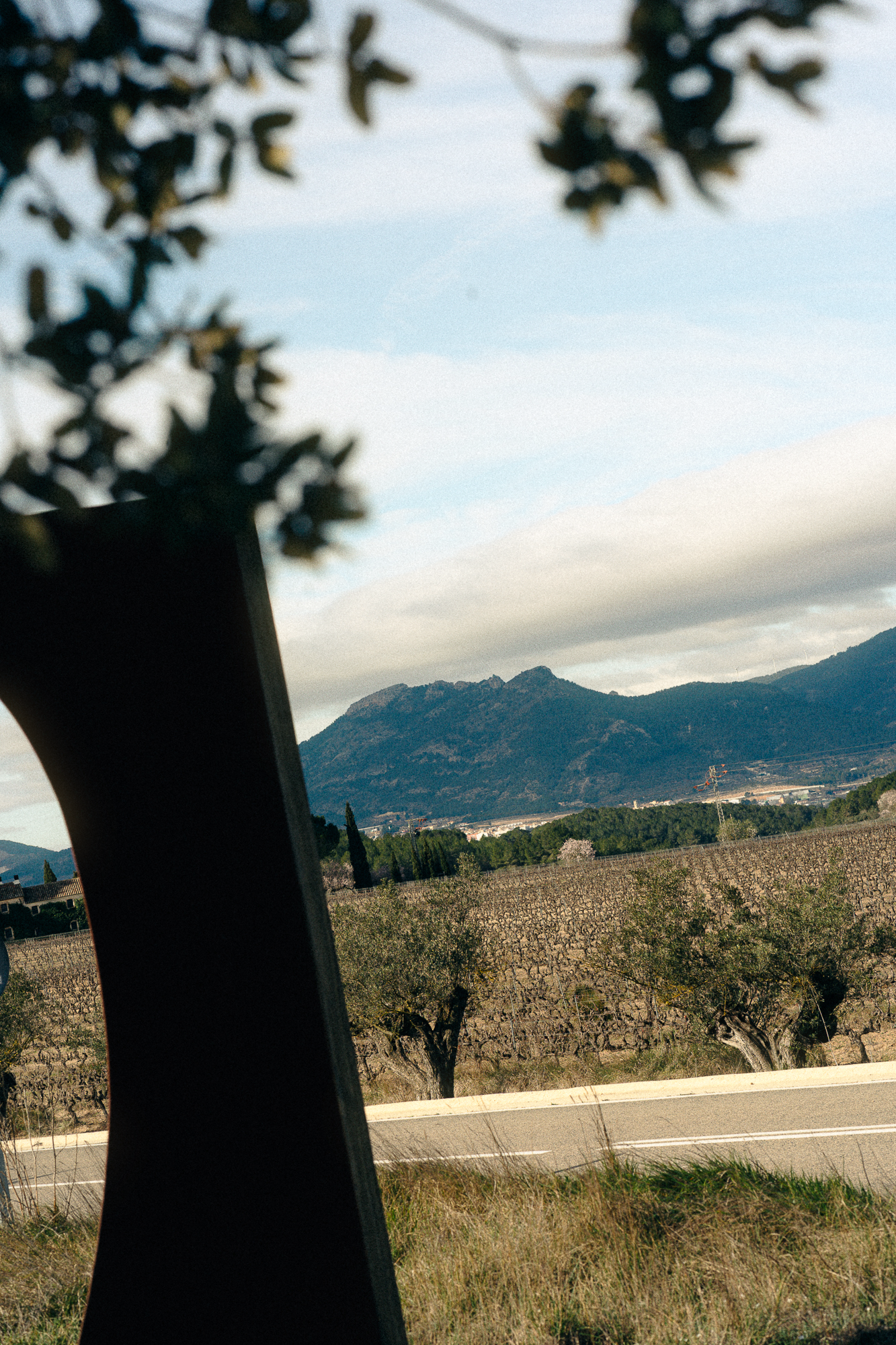 CELLER DEL ROURE-011.png