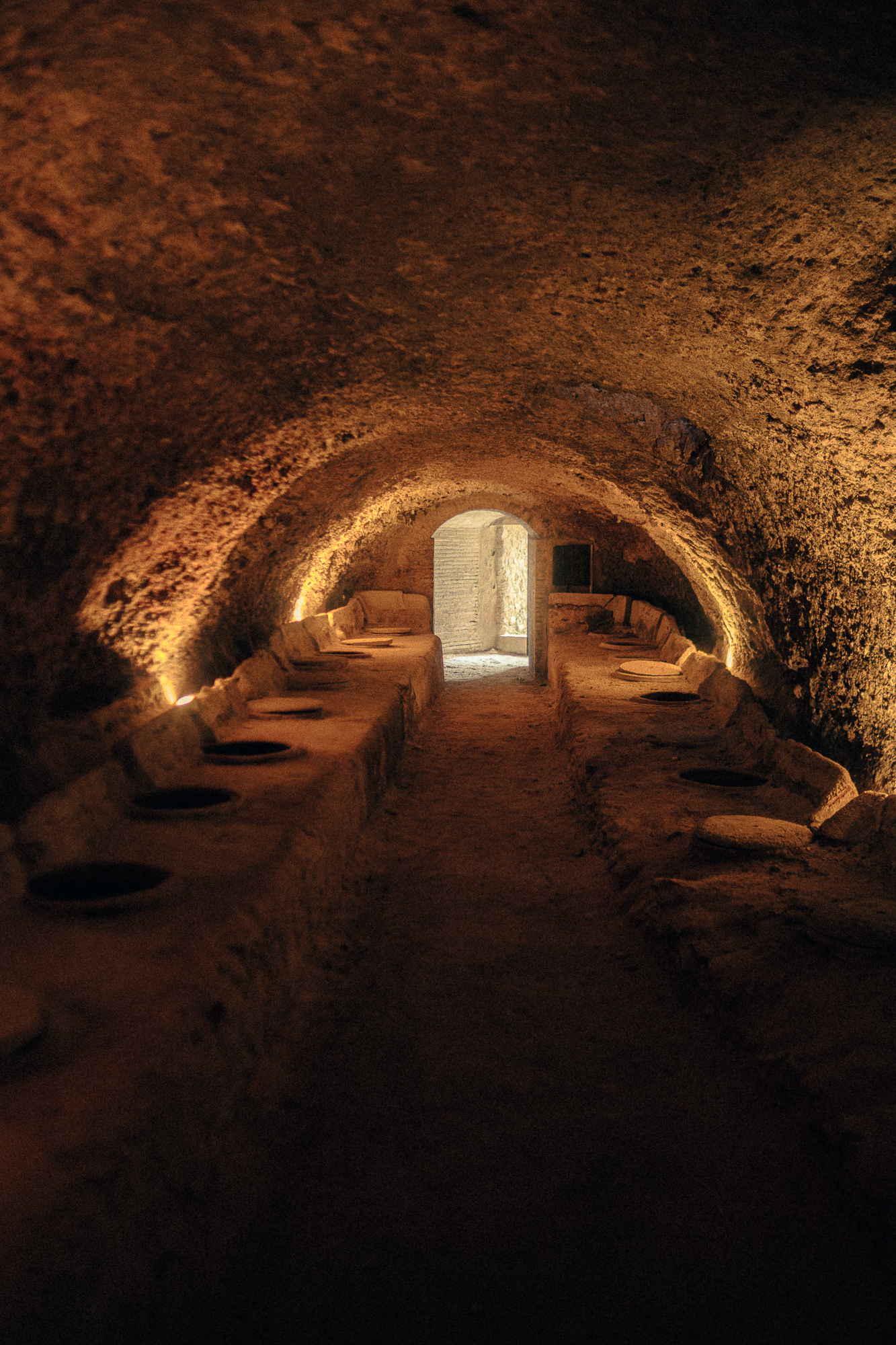 CELLER DEL ROURE-146.png