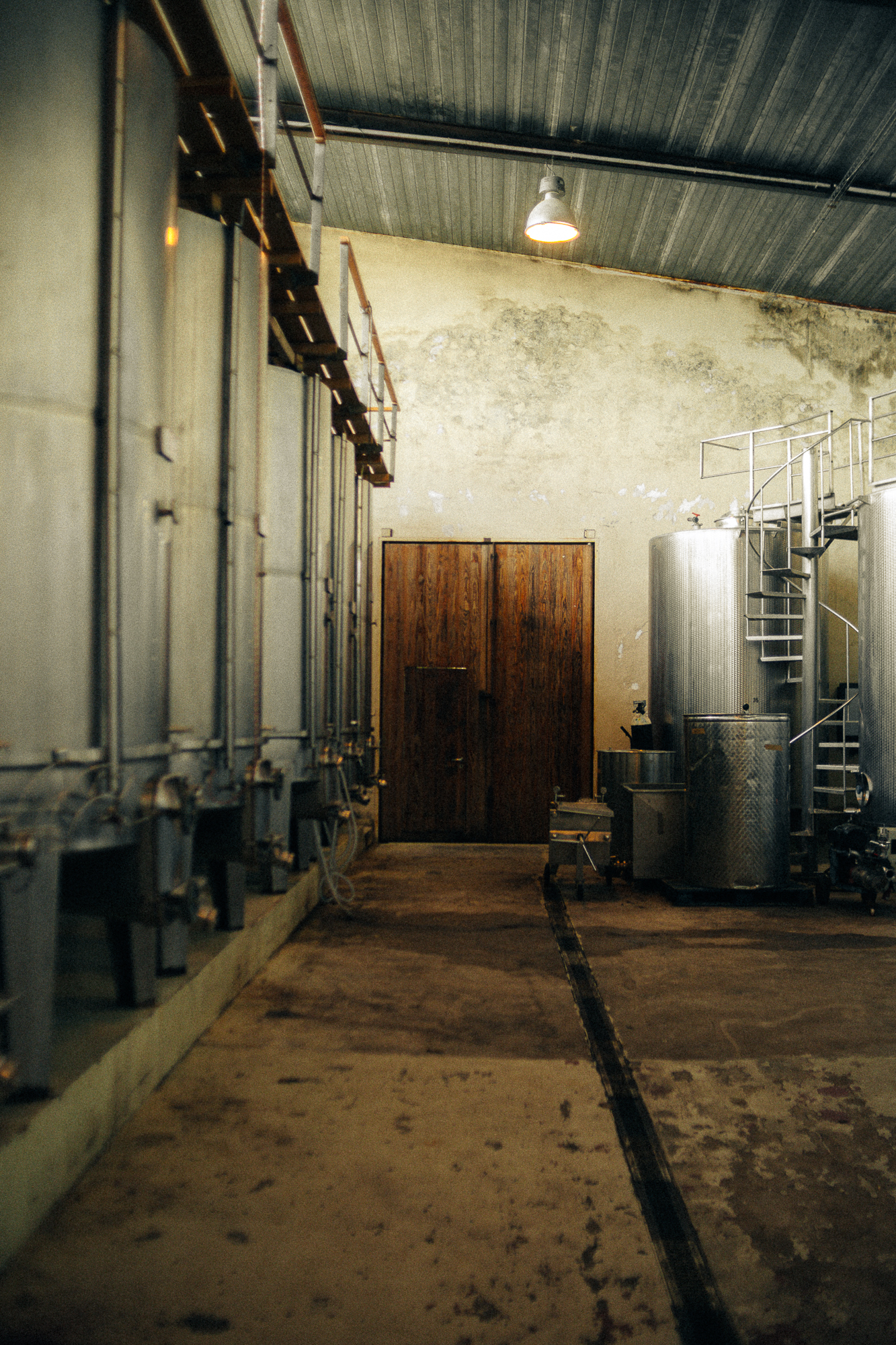 CELLER DEL ROURE-071.png