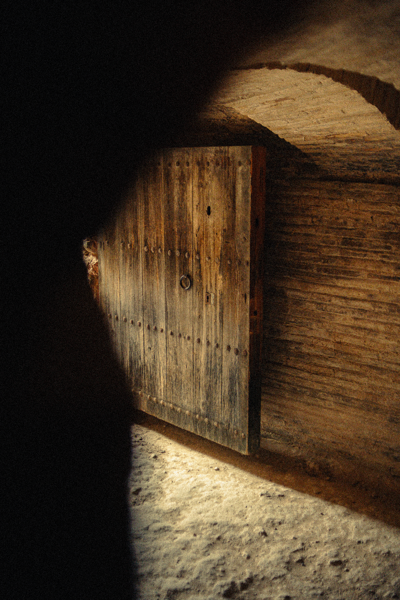 CELLER DEL ROURE-055.png