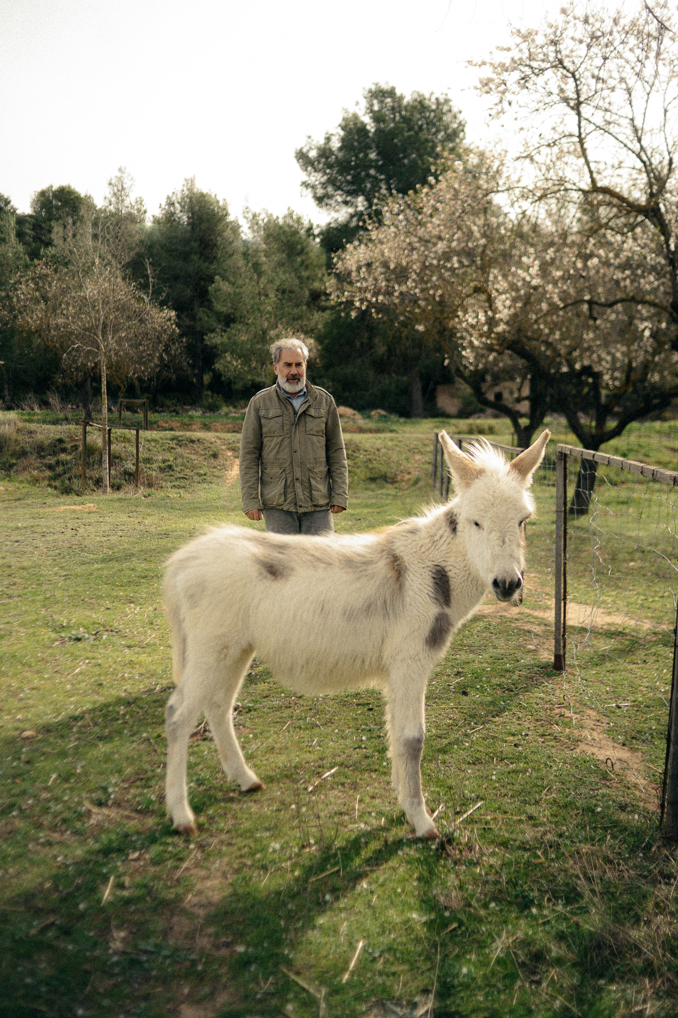 CELLER DEL ROURE-086.png