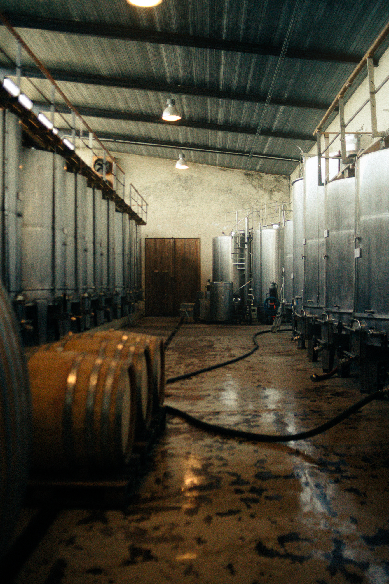 CELLER DEL ROURE-094.png