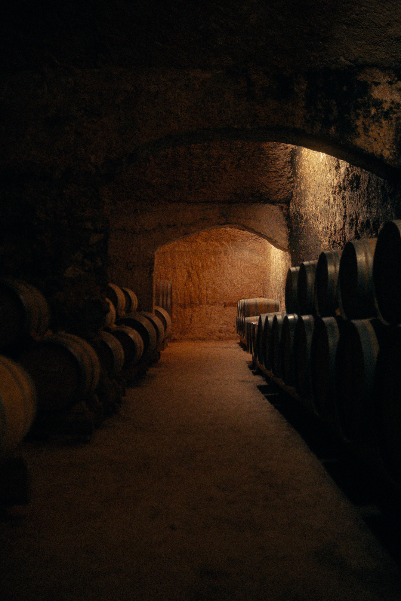 CELLER DEL ROURE-091.png