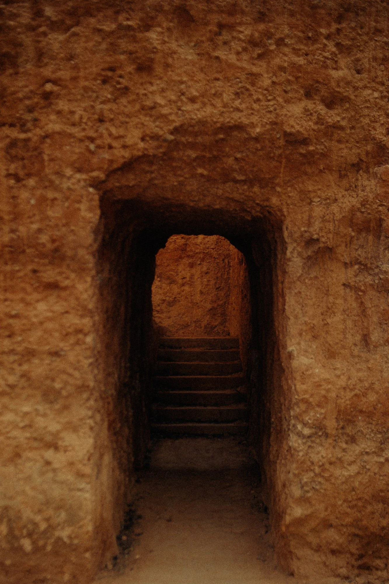 CELLER DEL ROURE-141.jpg