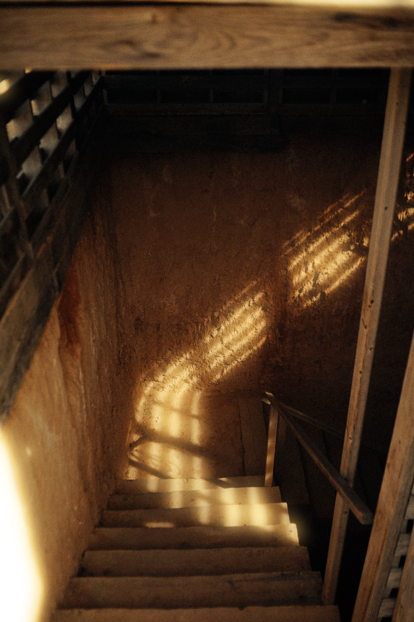 CELLER DEL ROURE-171.png