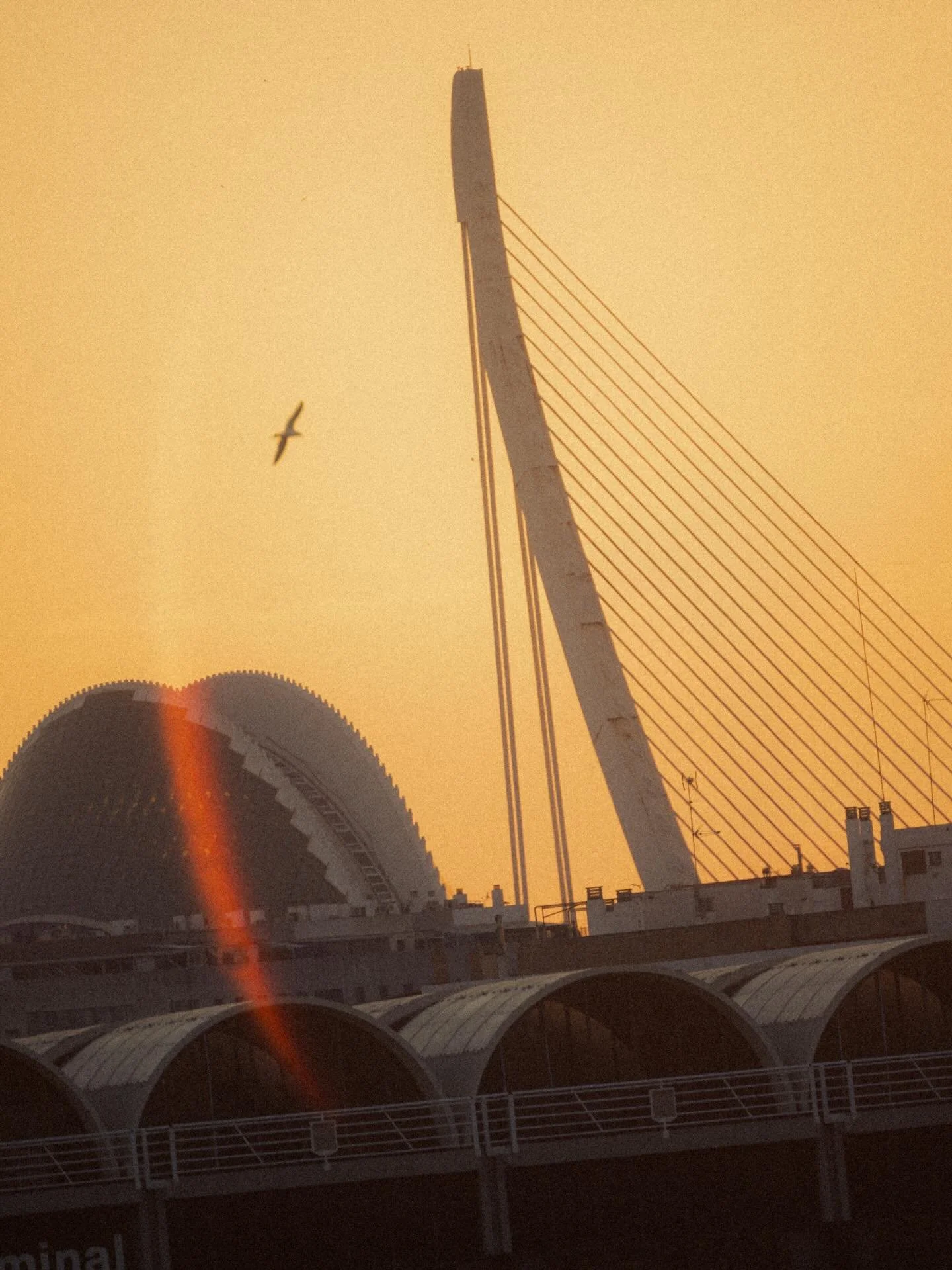The days are getting longer, the sunsets are getting later, and I love this kind of energy. ⛵️

.

.

.

#valencia #sigma #spain #photography #sonyalpha 

.

.

Travel Photography | Film photography | El Cabanyal | Valencia Guide | hospitality photog