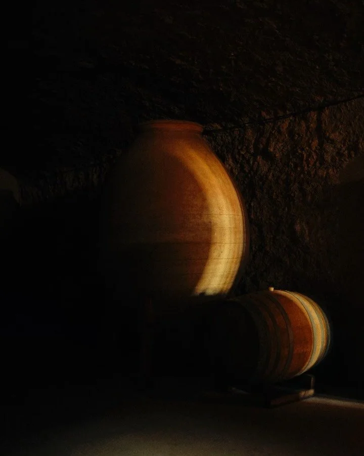 🍇Del barro a la luz. Una nueva forma de mirar el origen. - para @cellerdelroure 

La cr&oacute;nica completa ya esta disponible EN BIO. 🔗
.

.

.

.

#slowtravel #valenciaspain #winetravel #enoturismo #culturatravel 

.

Storytelling | winery | bod
