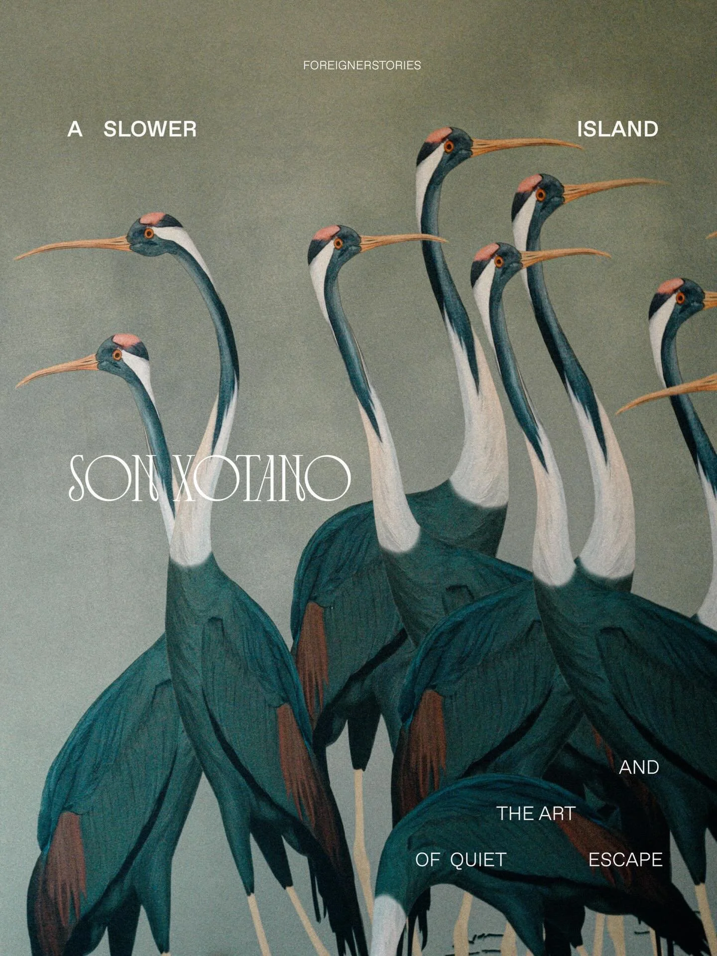 🍊 The slower side of Mallorca. 

for @sonxotanomallorca 

.

.

.

#luxuryhotels #designhotels #boutiquehotels #mallorca #architectureanddesign 

| slow travel | travel magazine | travel | spain guide | mallorca guide | architecture &amp; design | l