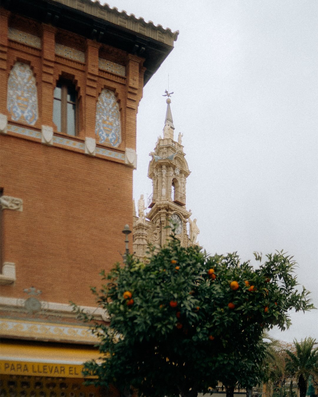 The quiet beauty of Valencia on cloudy days. 🍊 w/ @tina_mihajlovic 

.

#valencia 
#valenciaspain