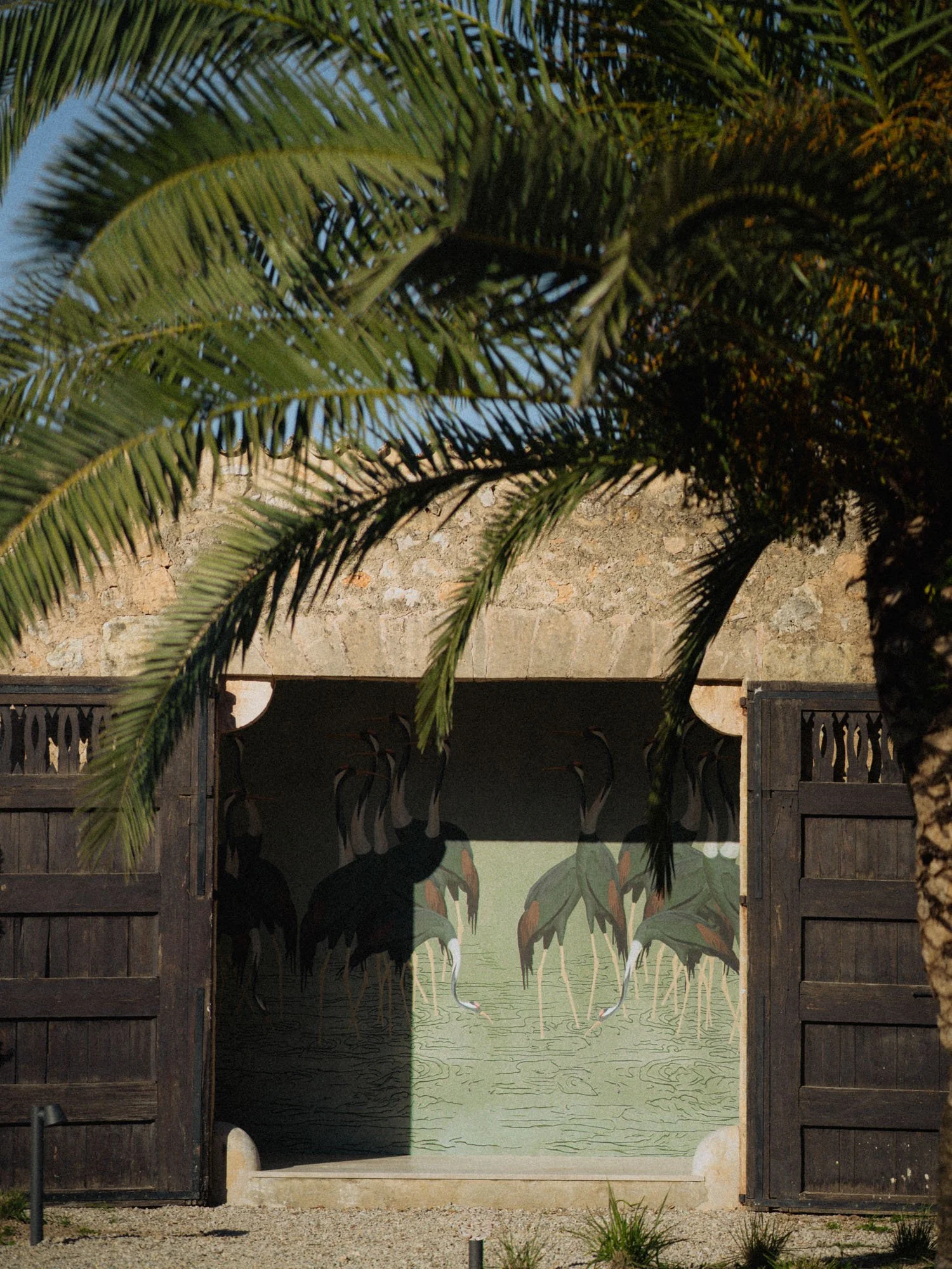 Entrada de un espacio decorativo con catorce flamingos sobre agua y fondo de naturaleza tropical con palmeras.