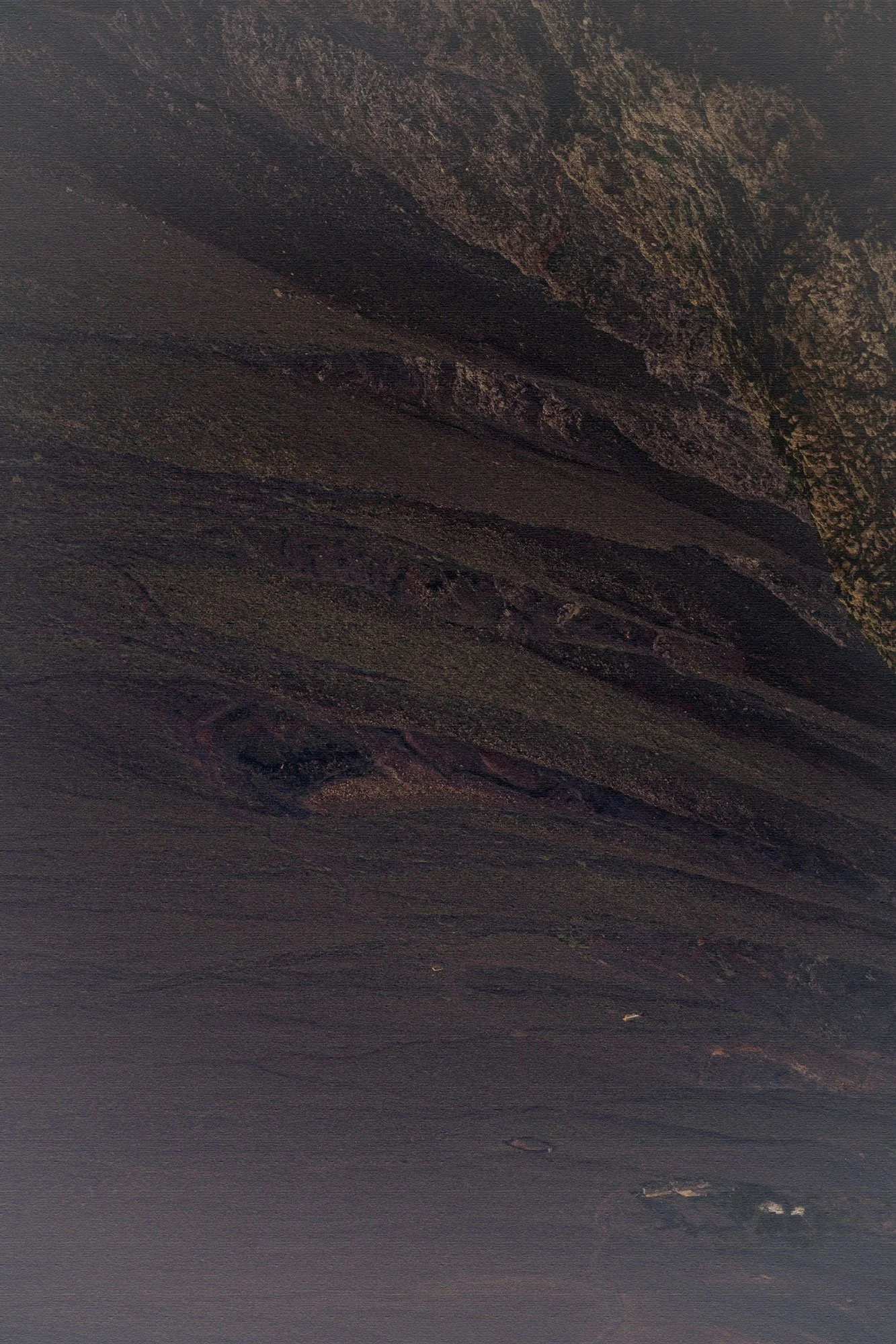 Close-up of a wooden surface with visible wood grain and knots.
