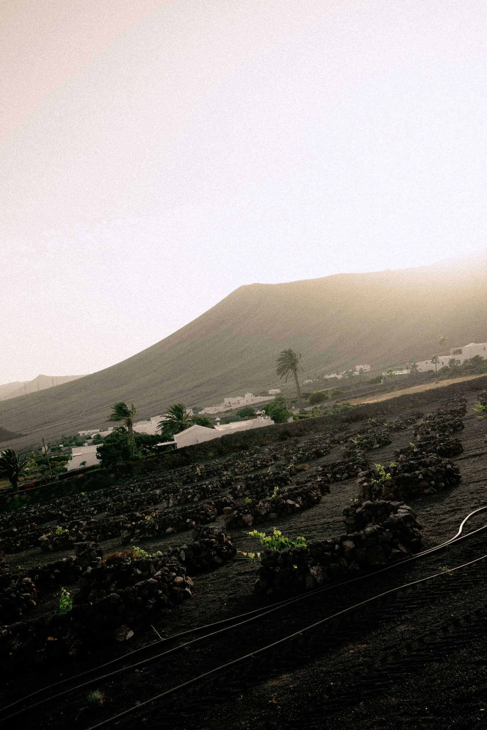 CESAR_LANZAROTE_HOSPITALITY_PHOTOGRAPHY-49.jpg
