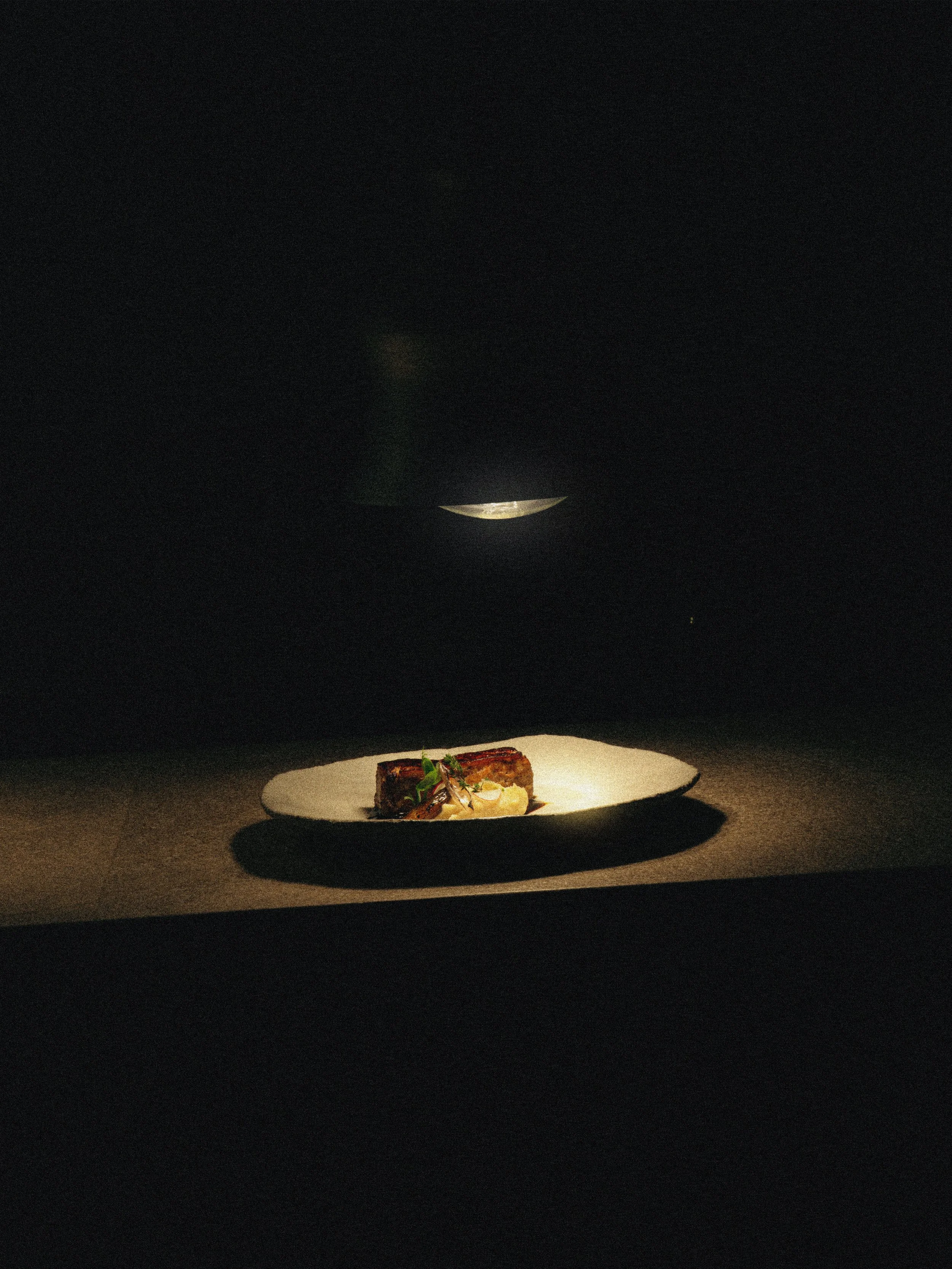 Plato de comida en un entorno oscuro con foco de luz