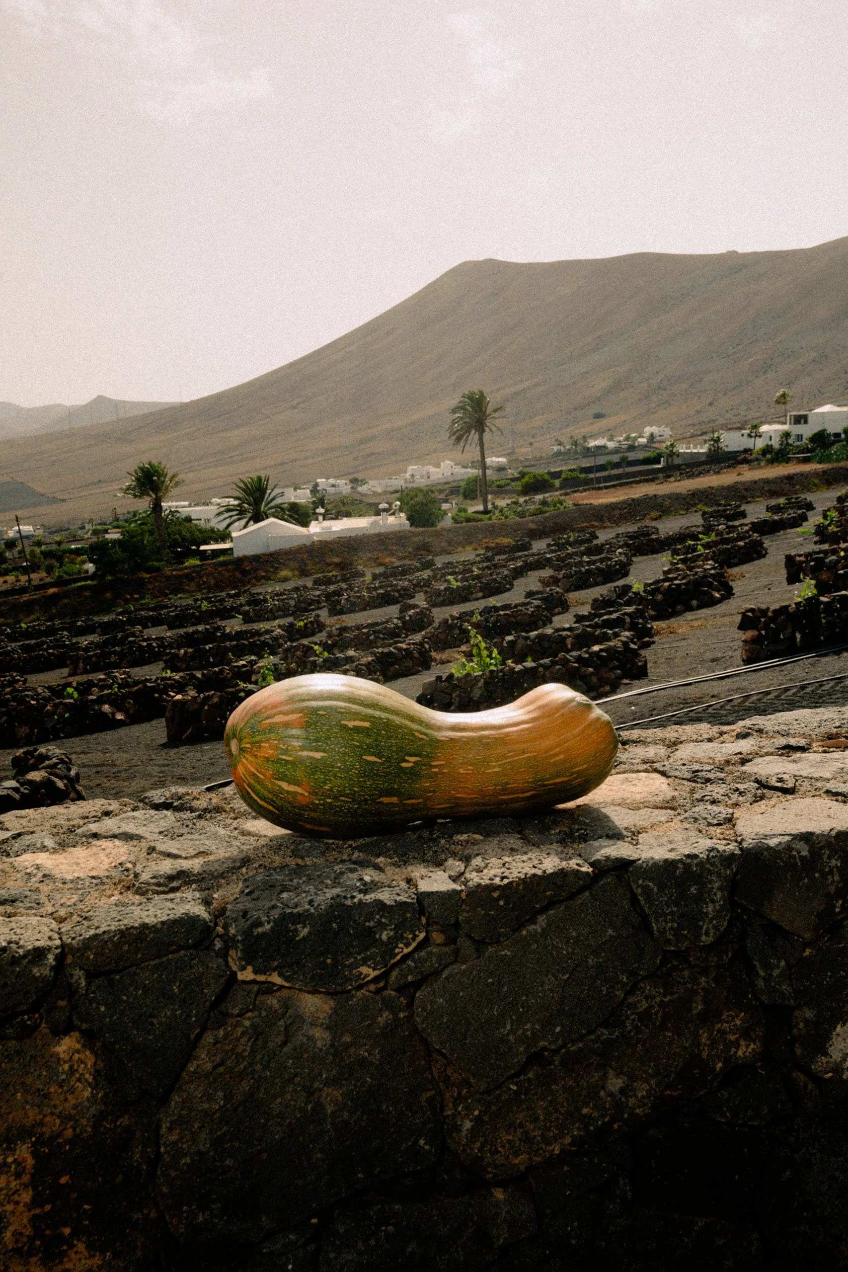 CESAR_LANZAROTE_HOSPITALITY_PHOTOGRAPHY-89.jpg