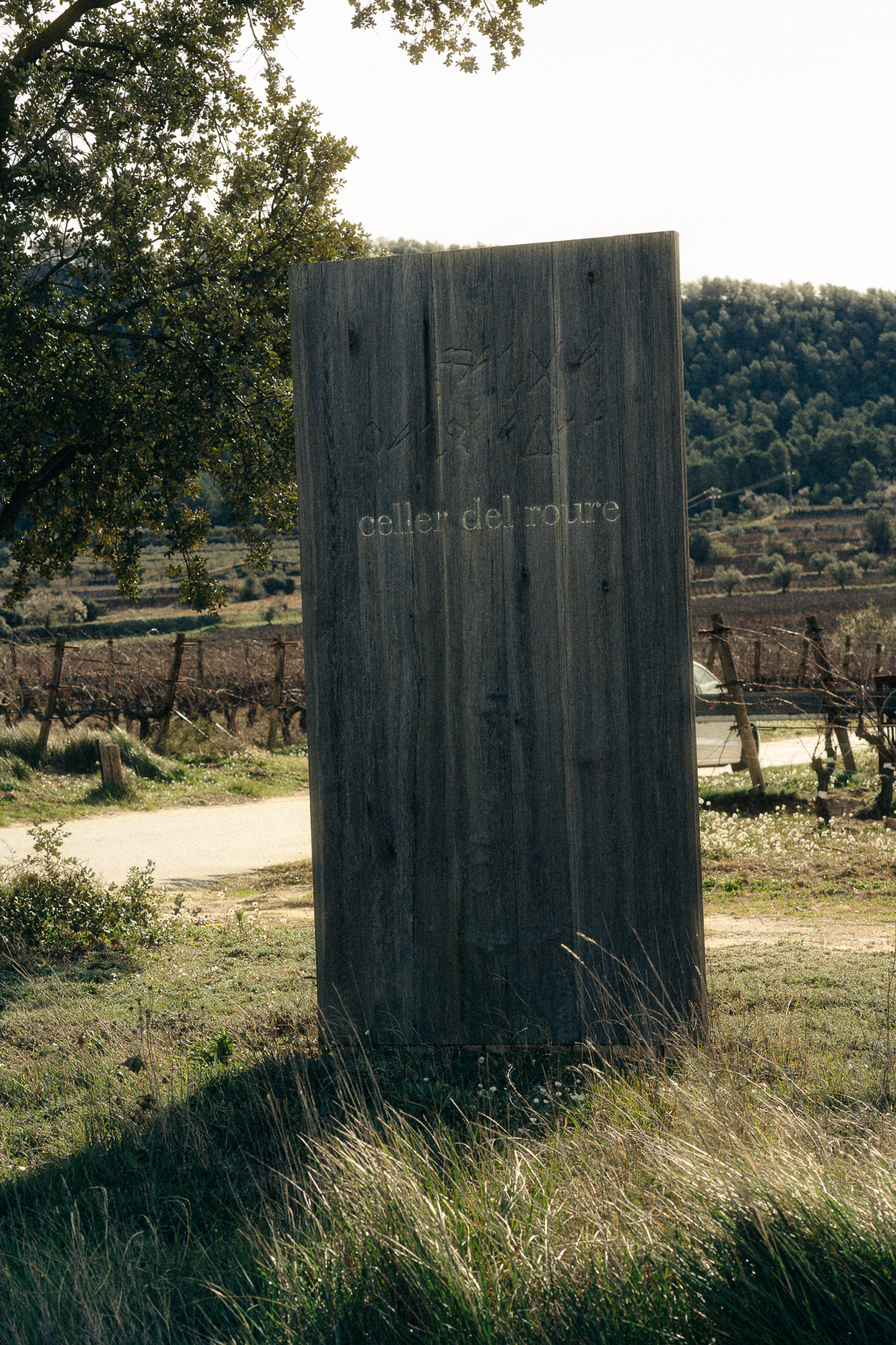 Wooden entrance sign of Celler del Roure winery surrounded by vineyards in Moixent, Valencia