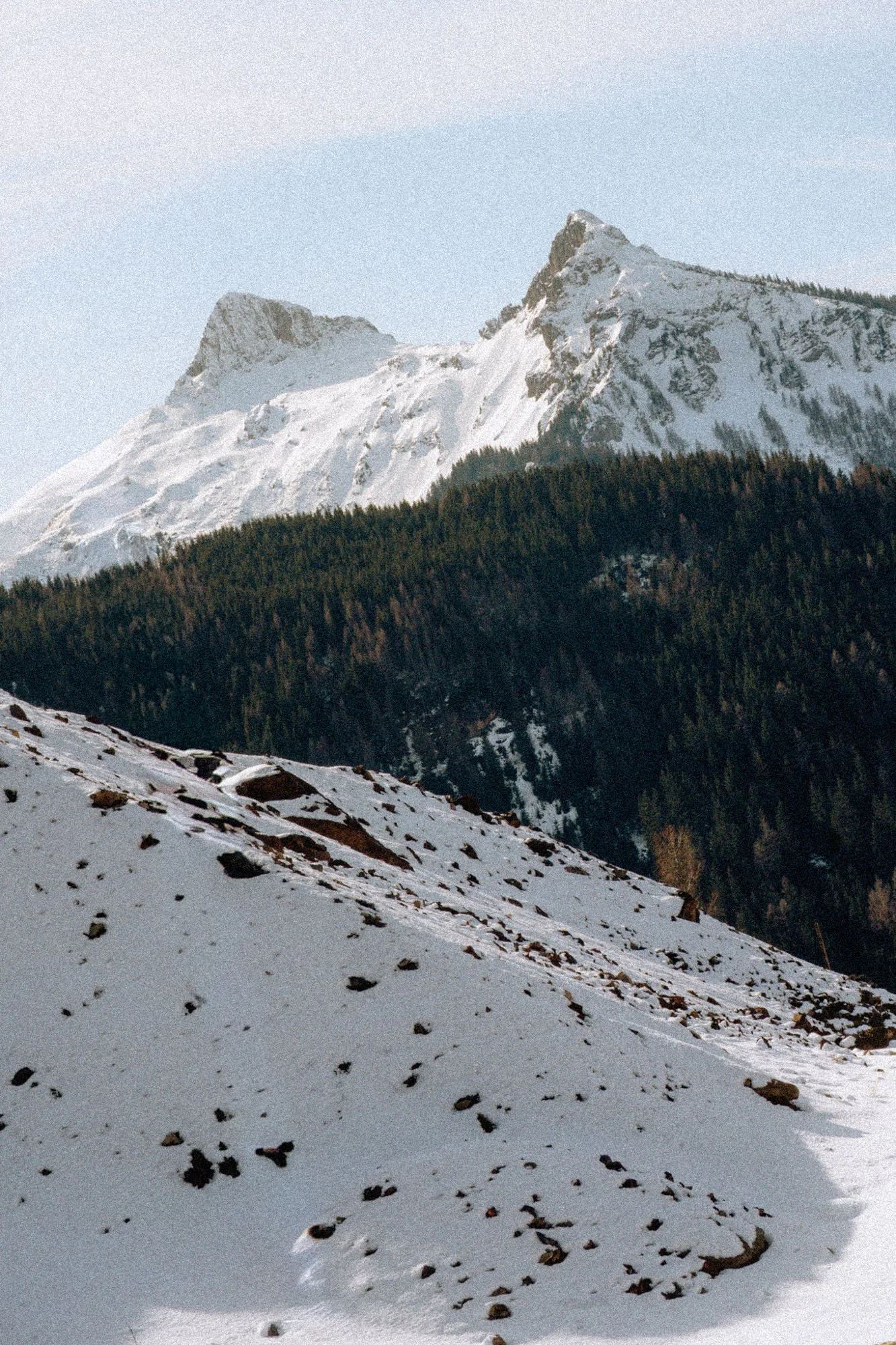 Montaña cubierta de nieve con árboles en la base y cielo despejado.