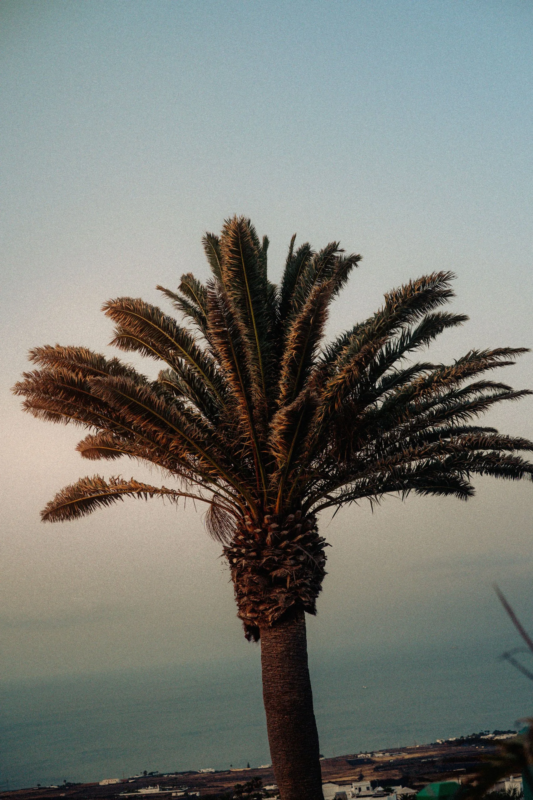 CESAR_LANZAROTE_HOSPITALITY_PHOTOGRAPHY-12.jpg