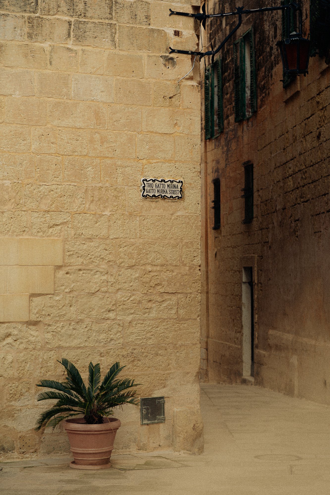 Warm stone wall and narrow alley detail with a small plant, minimal Mediterranean texture for quiet luxury stays