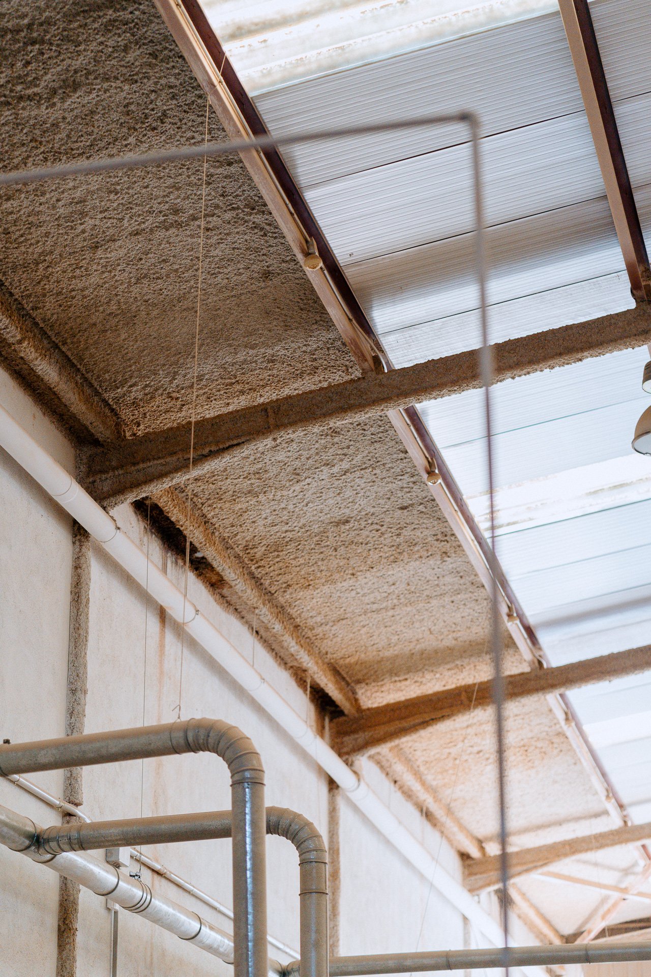 Industrial ceiling and skylight detail with soft daylight, architectural texture for design hotels and creative spaces