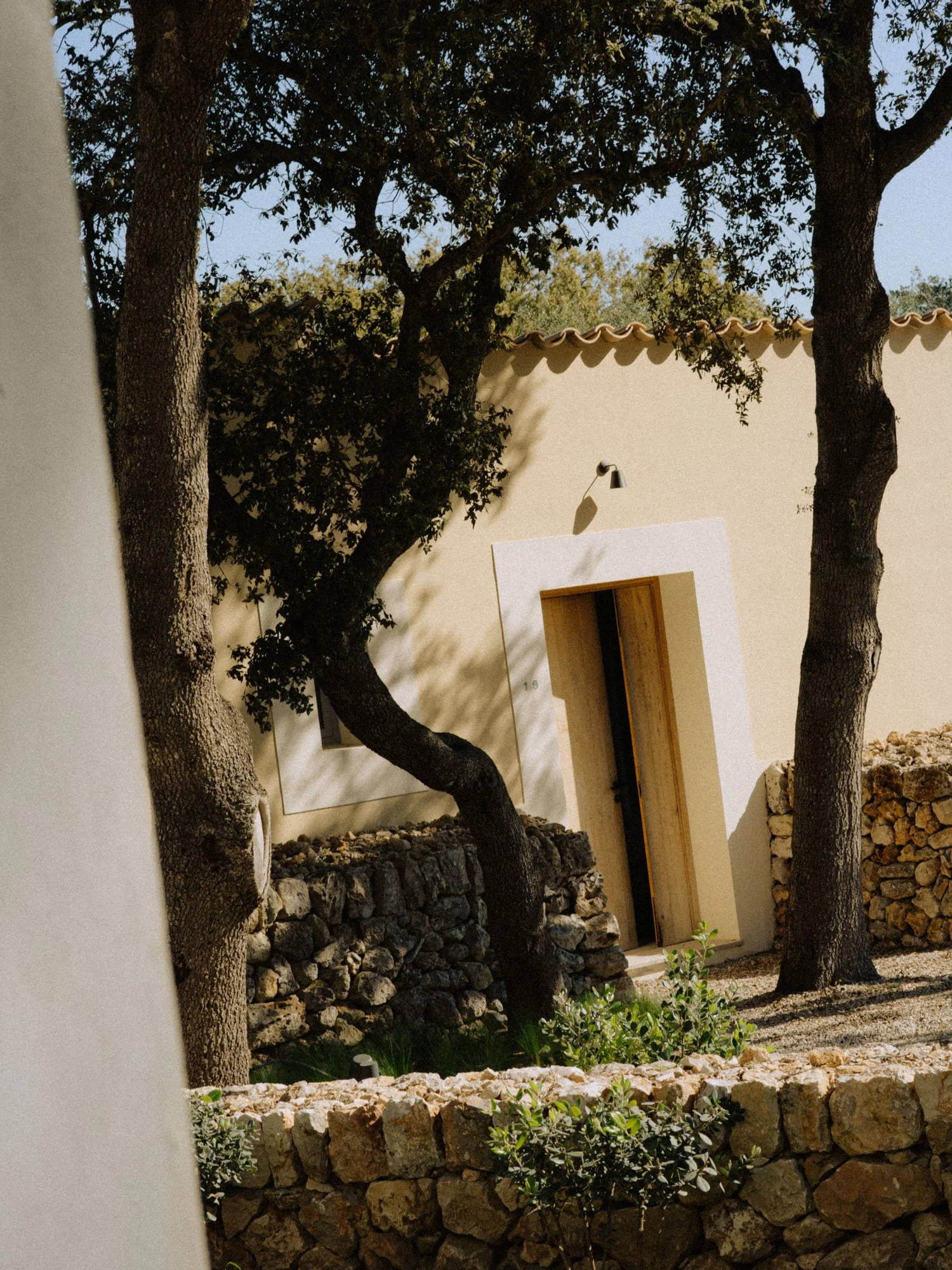 Vista de un patio con árboles y paredes blancas, una puerta de madera y una pared de piedras