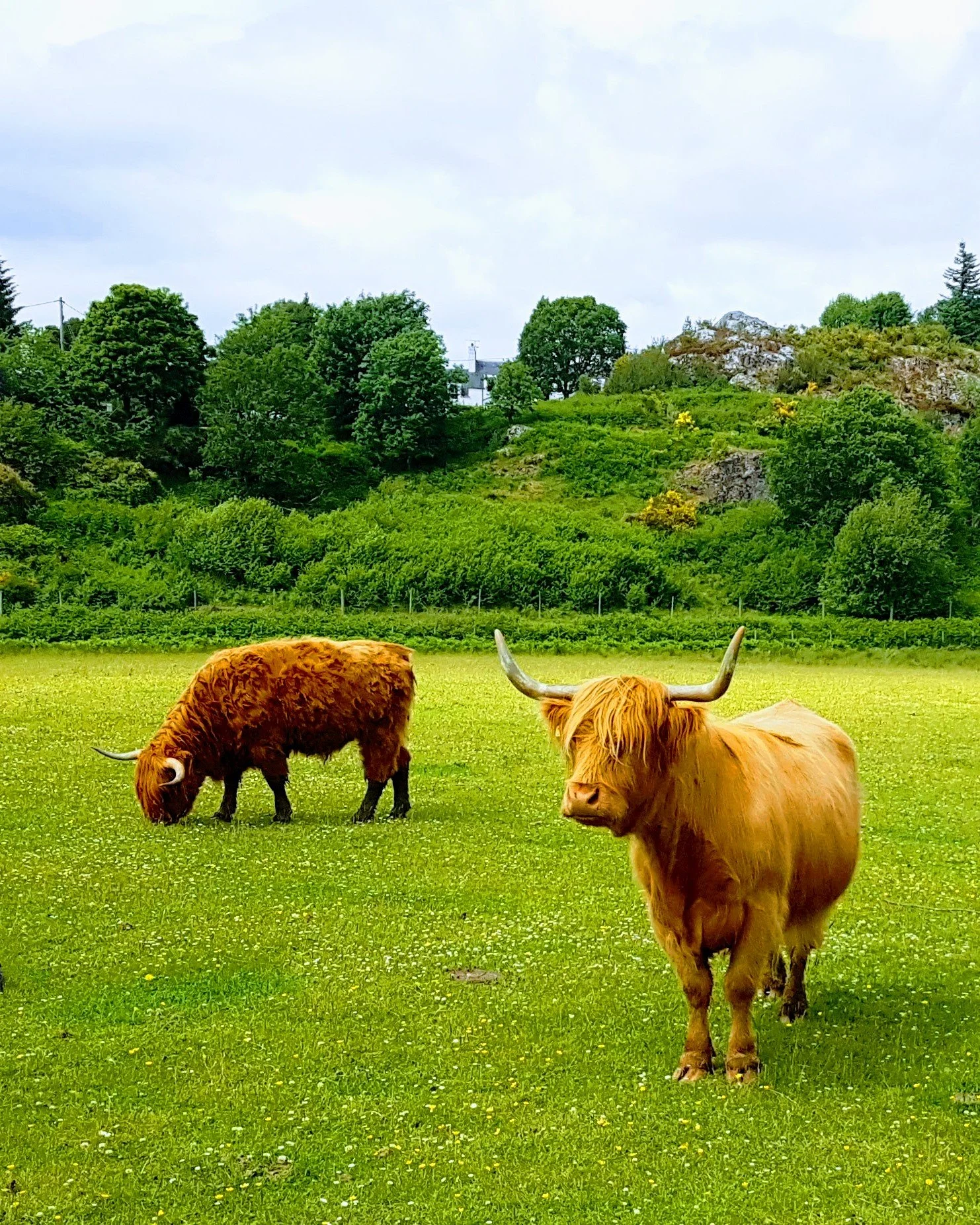 The Ultimate Highland Experience: Loch Ness & Culloden (8 hrs)