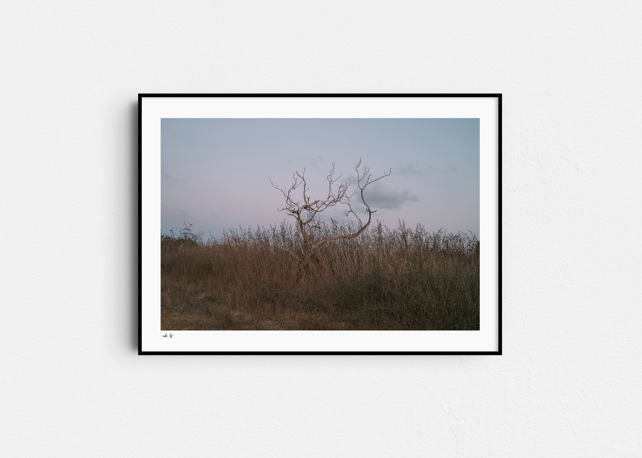 ליד_משמרות_מוקאפ copy.jpg