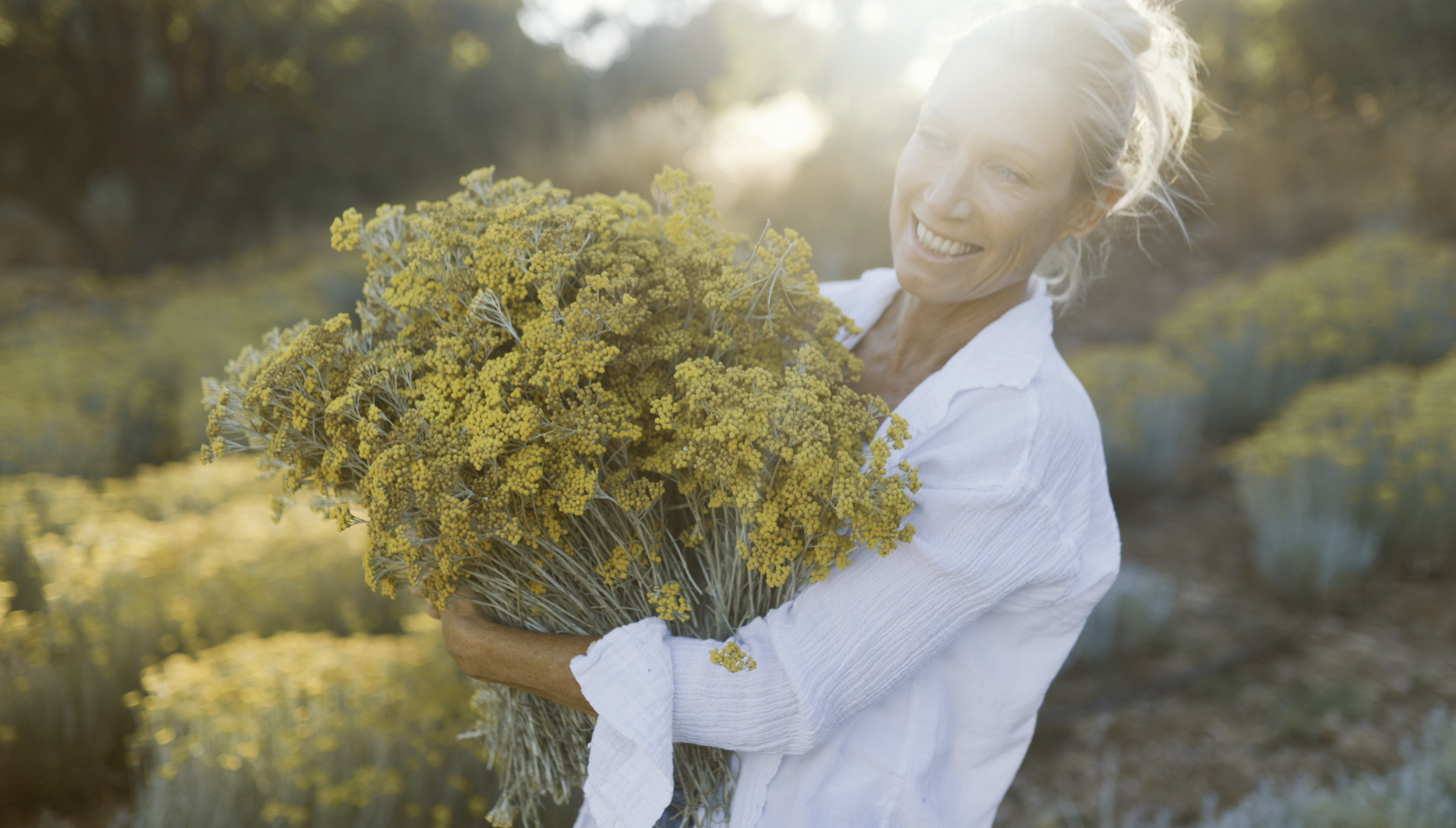 Screenshot 2026-01-30 at 12.12.33.png