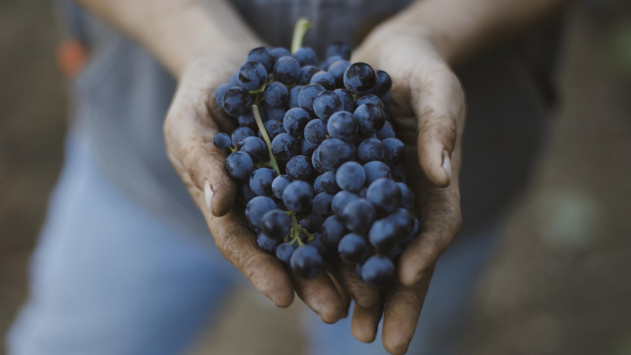 Screenshot 2026-01-30 at 9.50.27.png