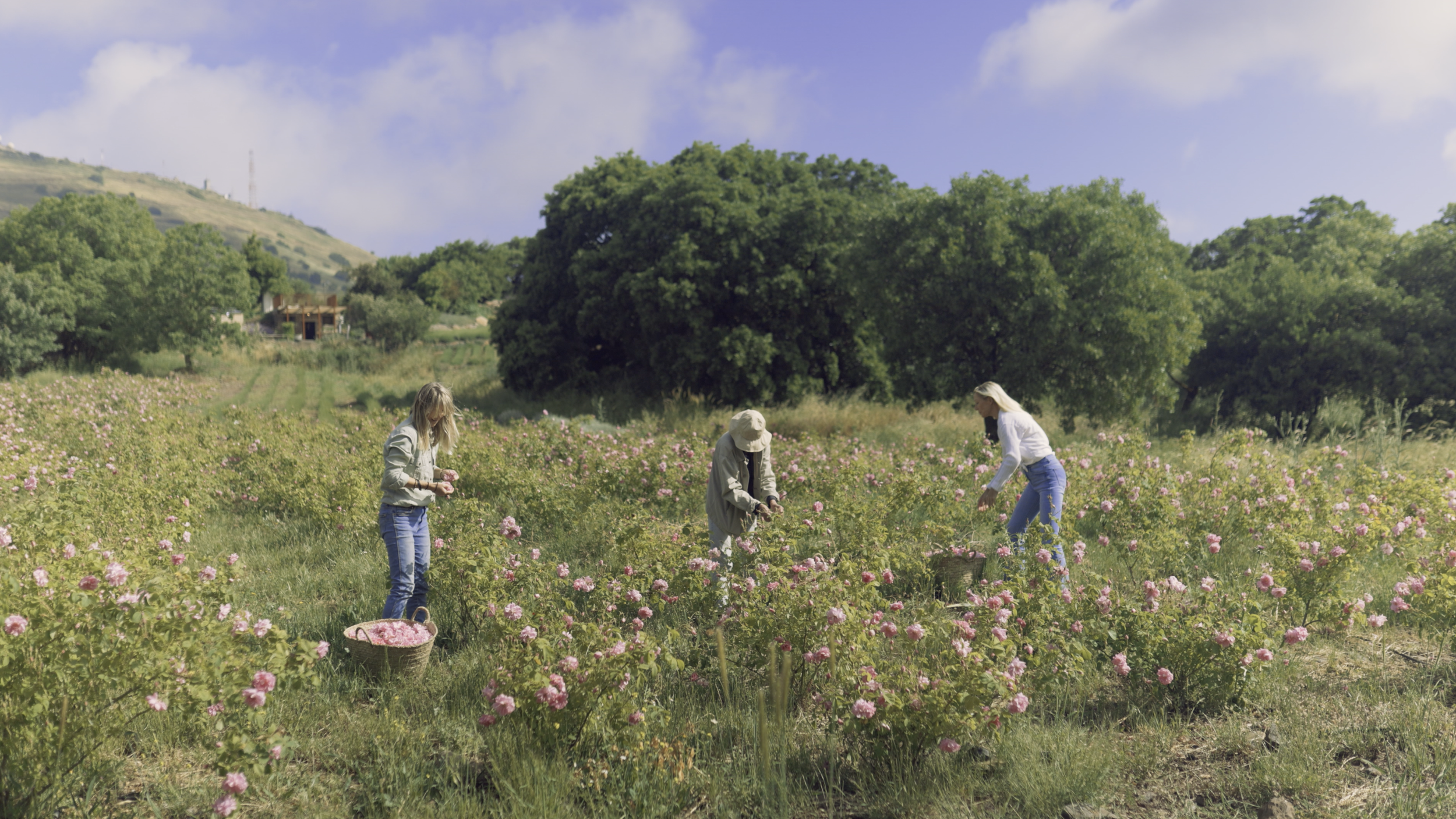 Screenshot 2026-01-30 at 9.45.04.png