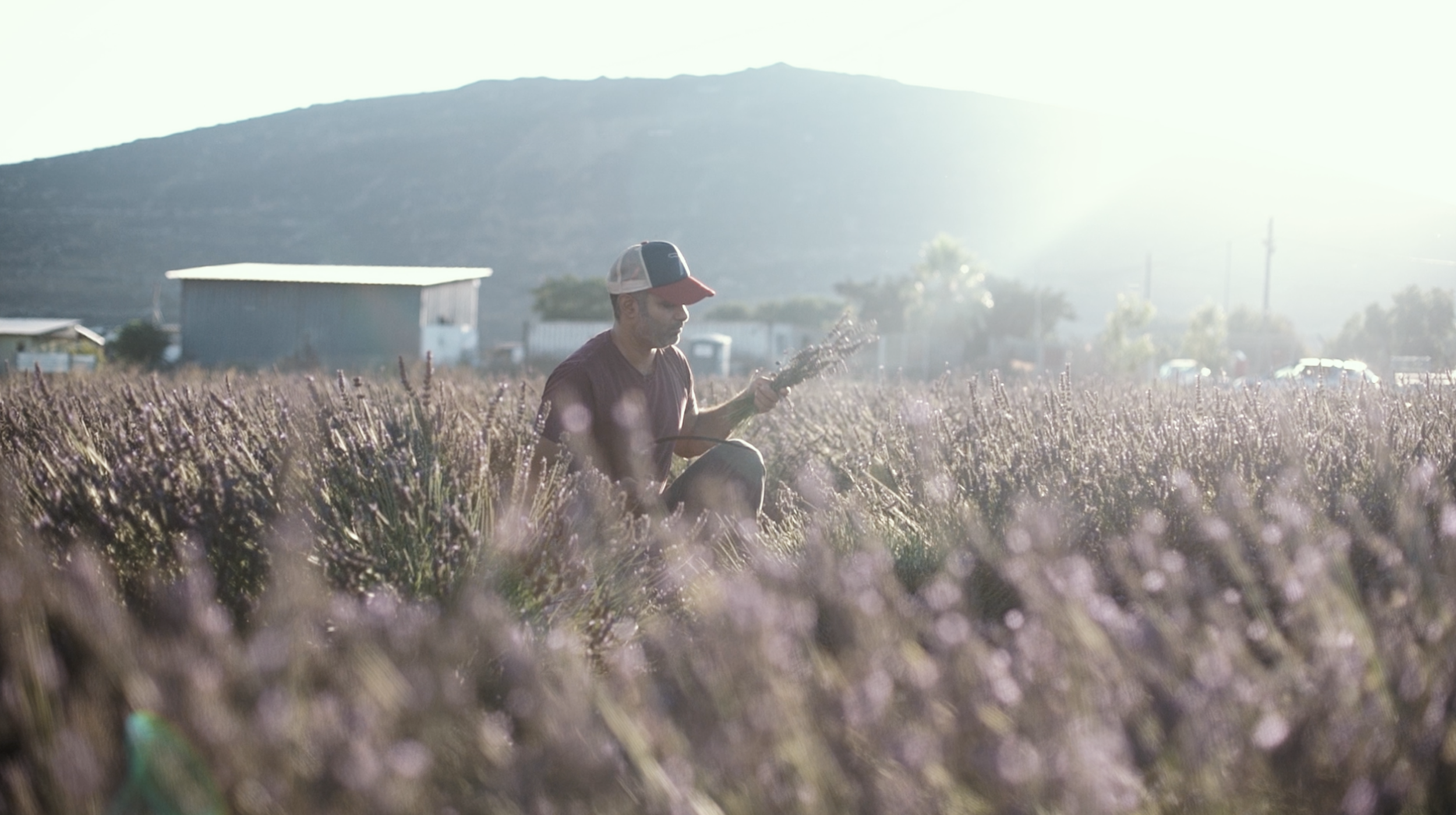 Screenshot 2026-01-30 at 9.51.27.png