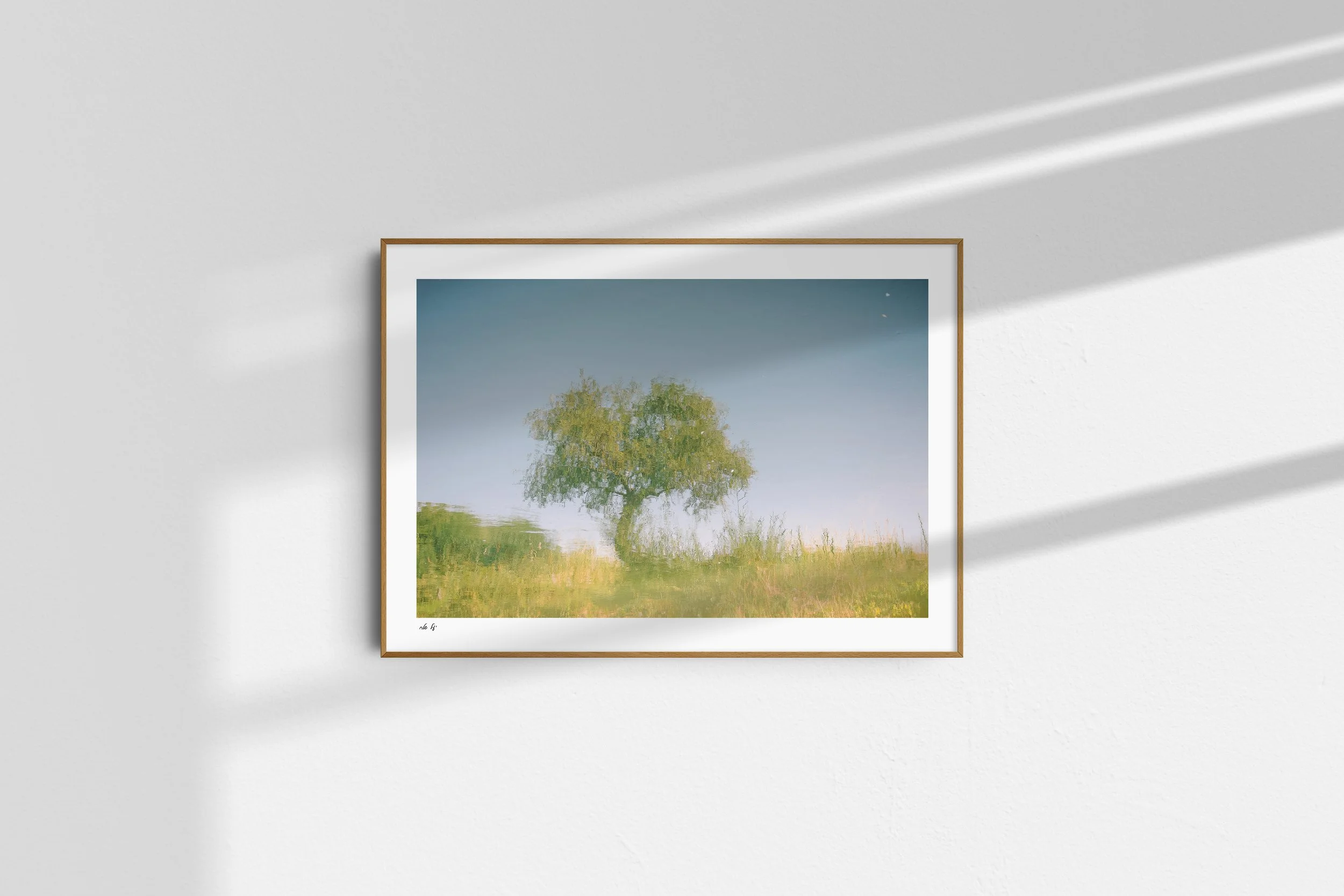 שדה נחמיה_מוקאפ_1.jpg